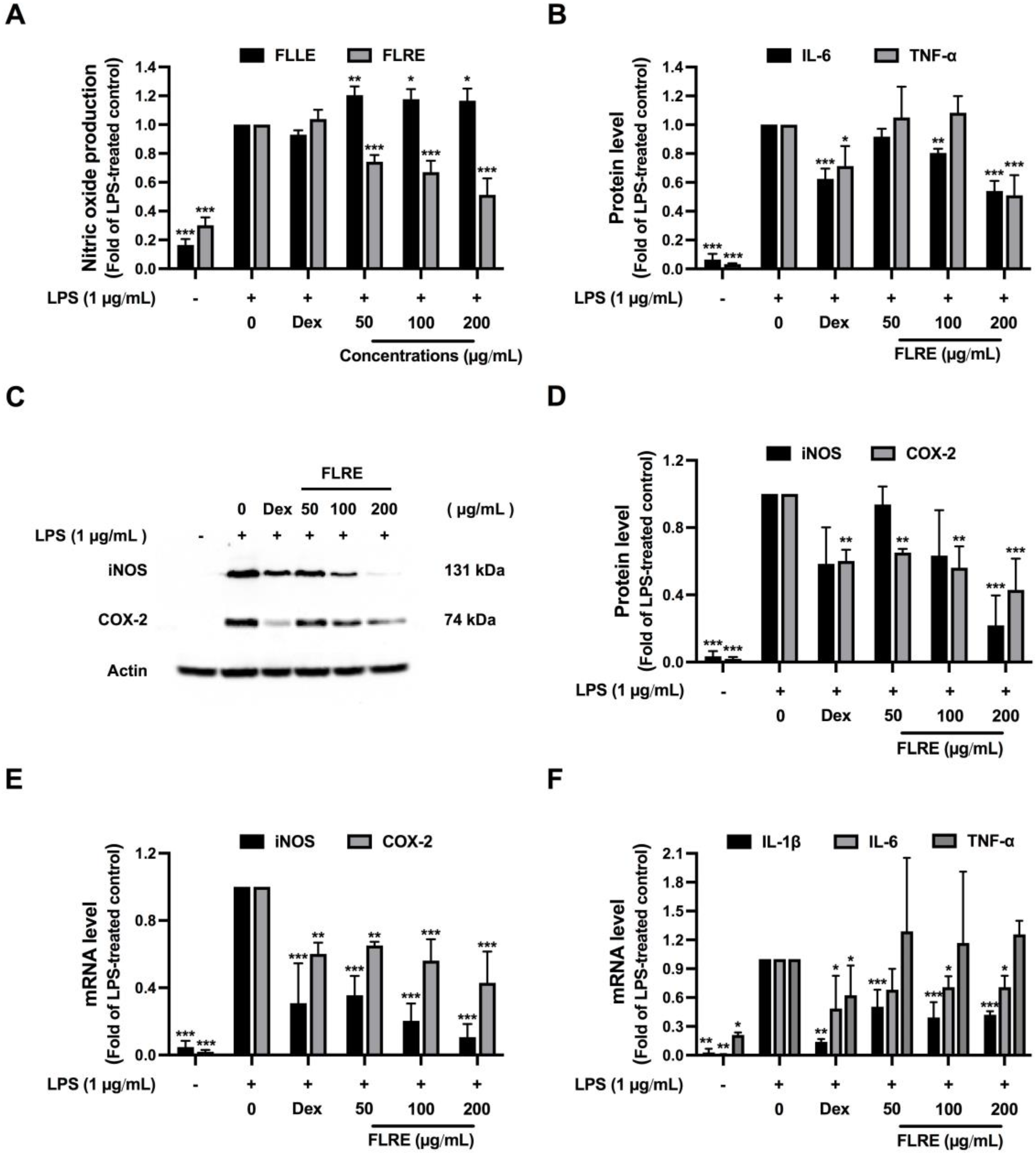 Pharmaceuticals 17 00287 g004