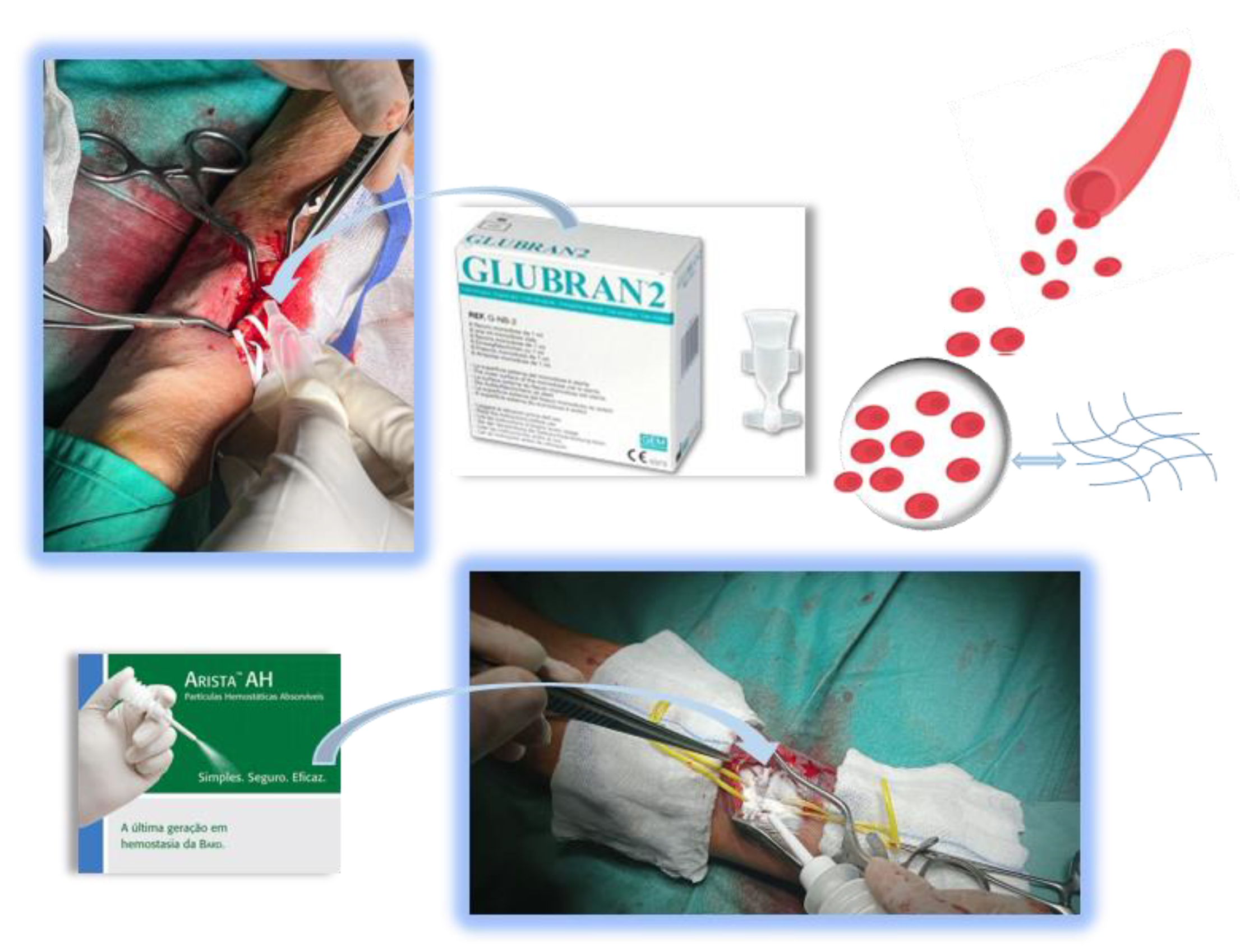 Pharmaceuticals 17 00288 g001