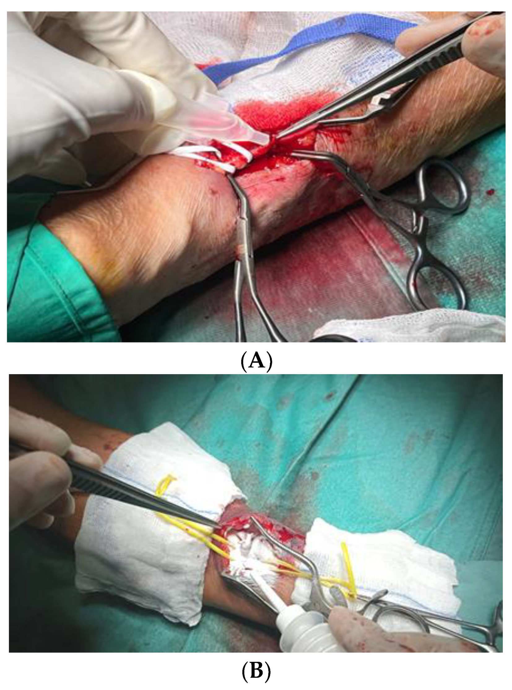 Pharmaceuticals 17 00288 g003