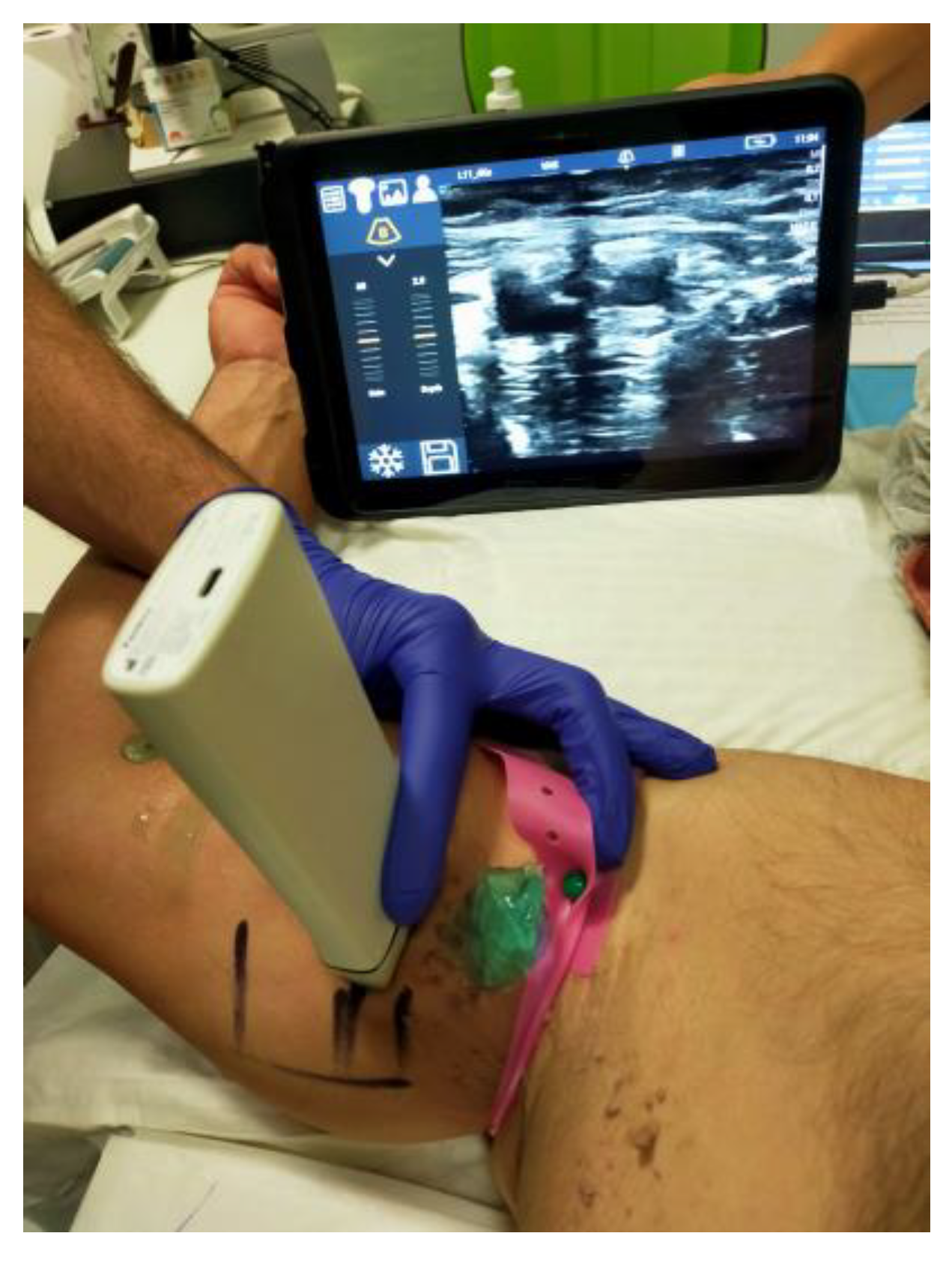 Pharmaceuticals 17 00288 g004