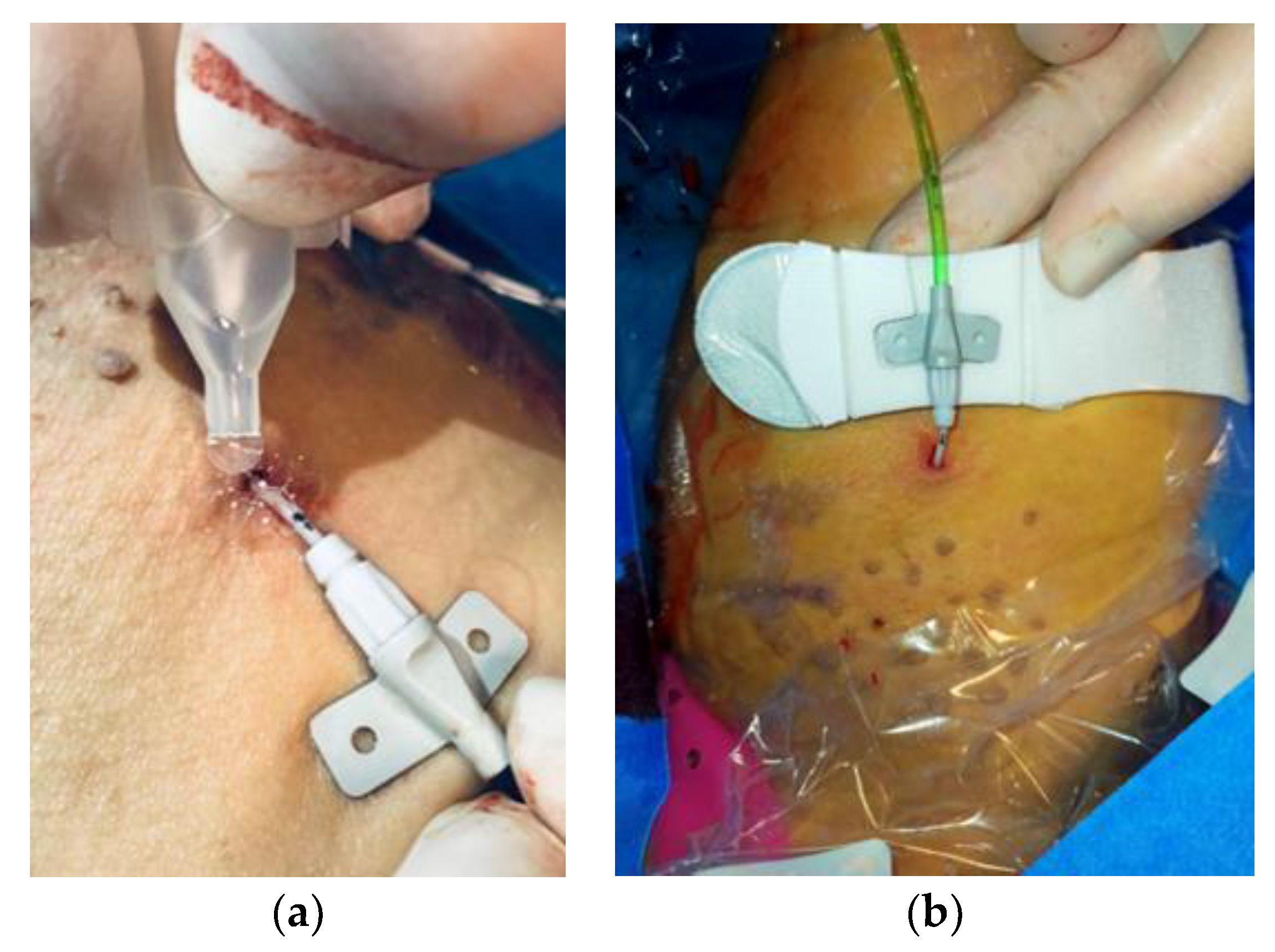 Pharmaceuticals 17 00288 g005