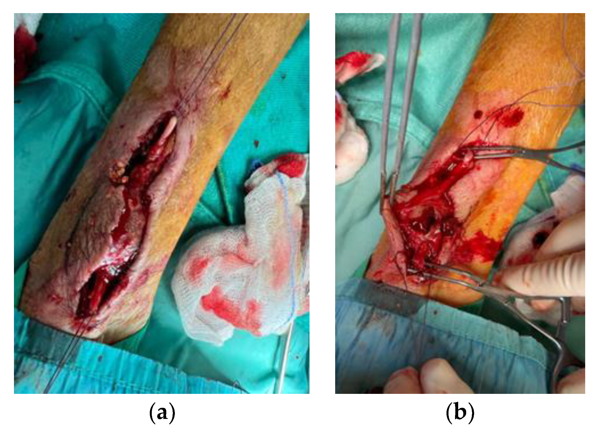 Pharmaceuticals 17 00288 g007