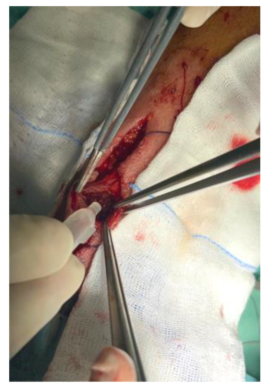 Pharmaceuticals 17 00288 g008