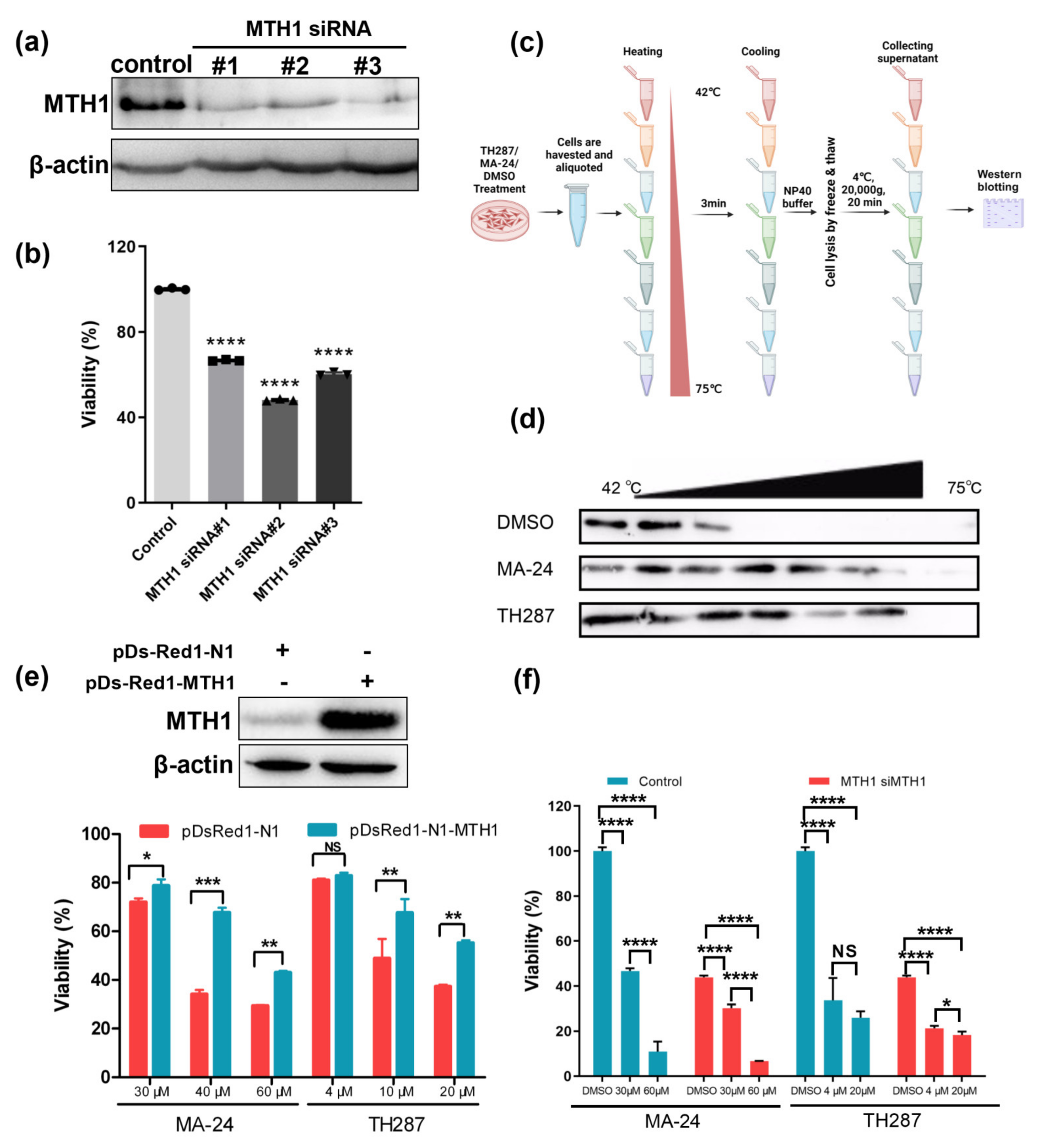 Pharmaceuticals 17 00291 g003