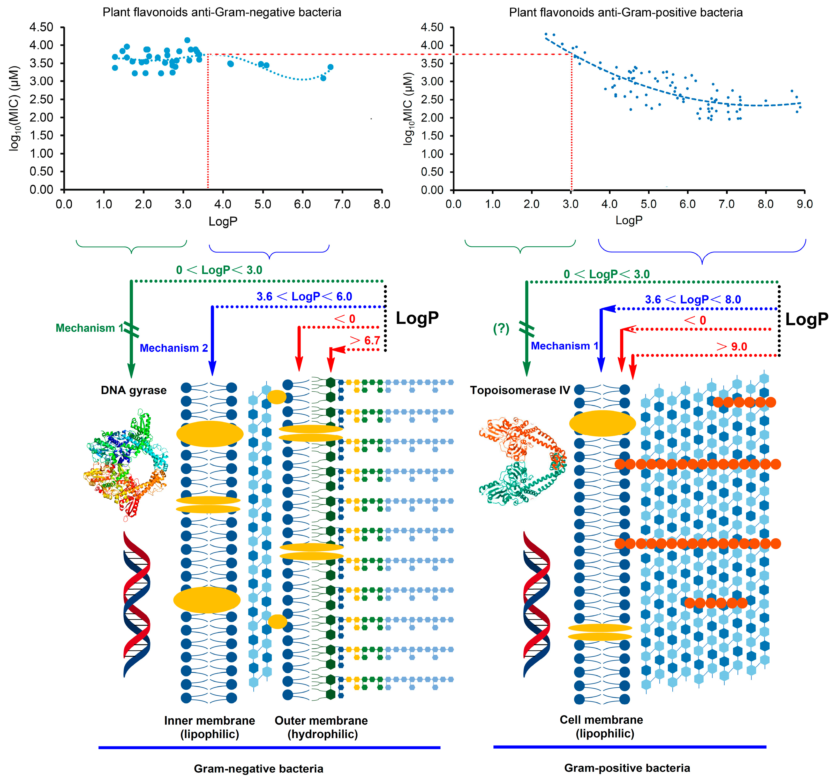 Pharmaceuticals 17 00292 g004