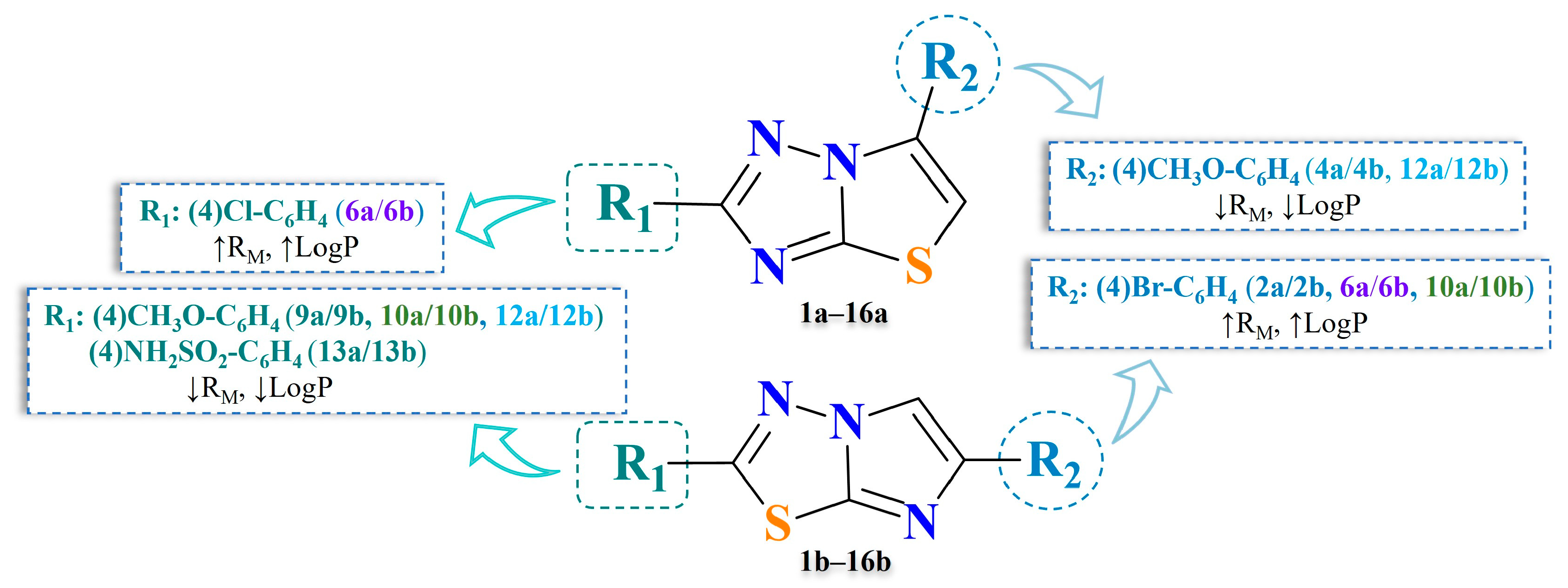 Pharmaceuticals 17 00295 g007
