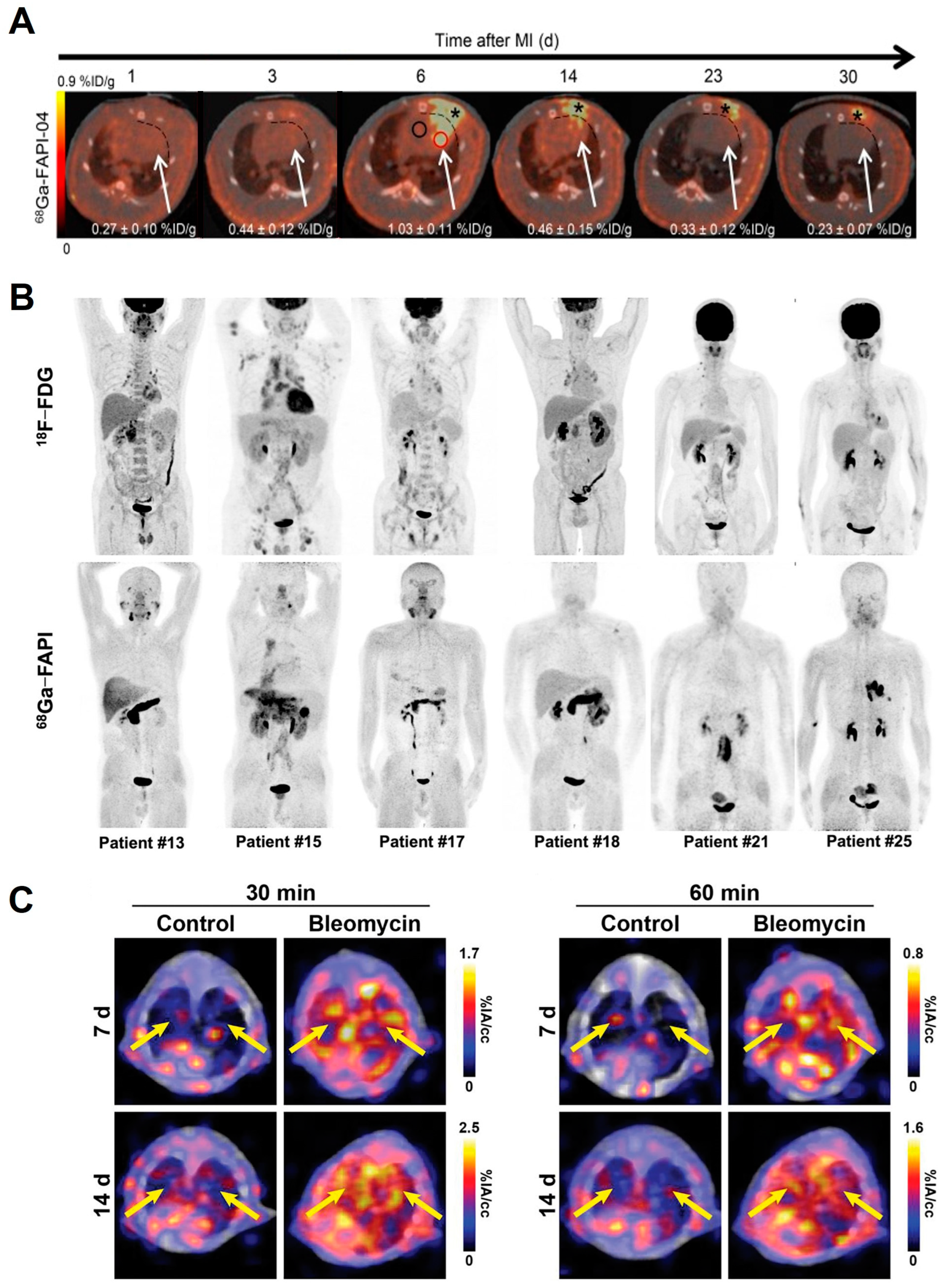 Pharmaceuticals 17 00296 g004