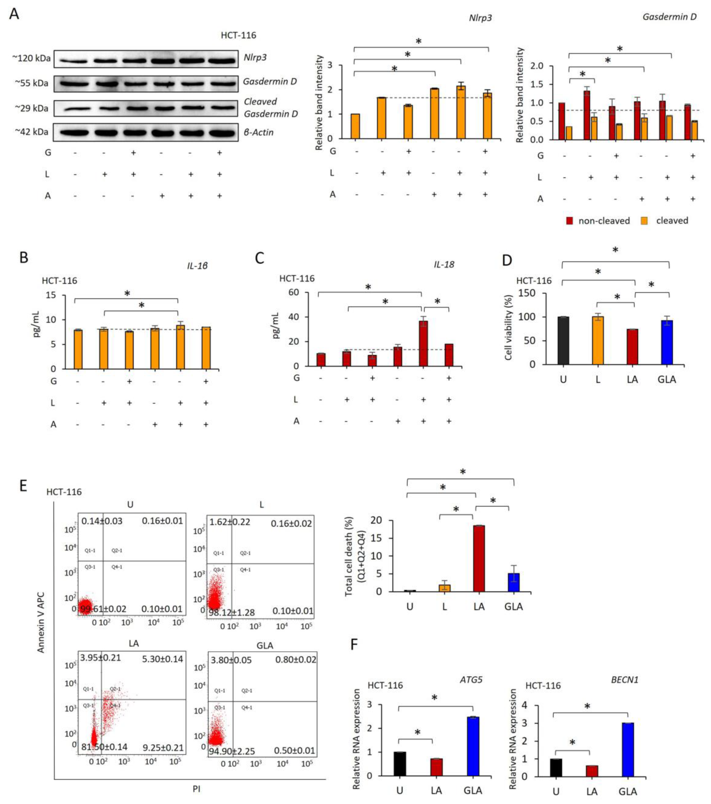 Pharmaceuticals 17 00299 g001