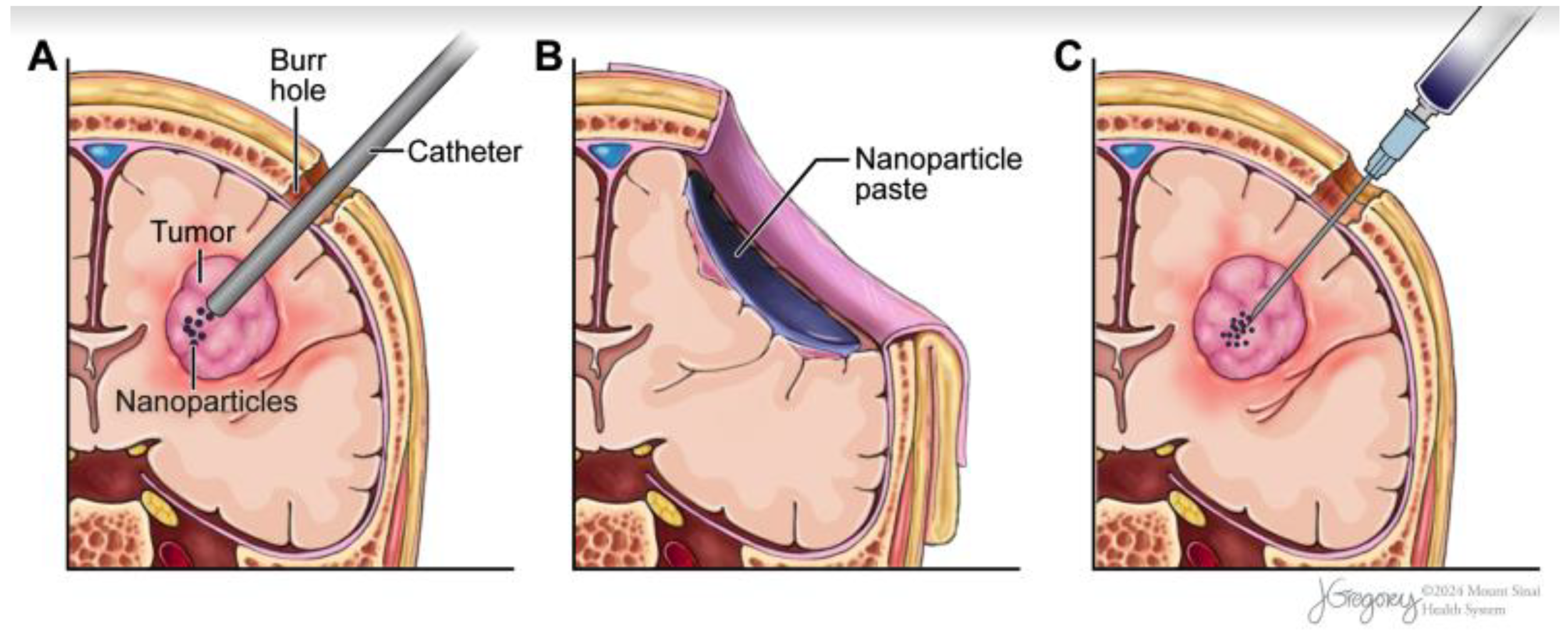 Pharmaceuticals 17 00300 g002