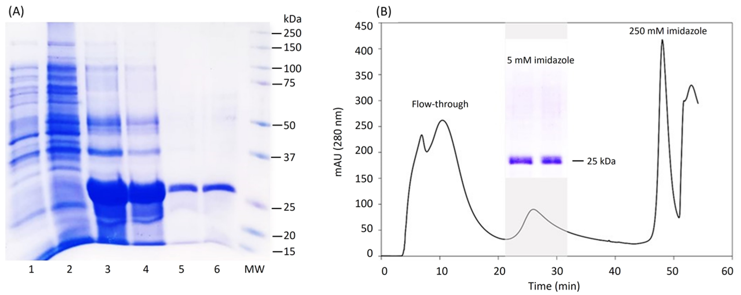 Pharmaceuticals 17 00302 g003