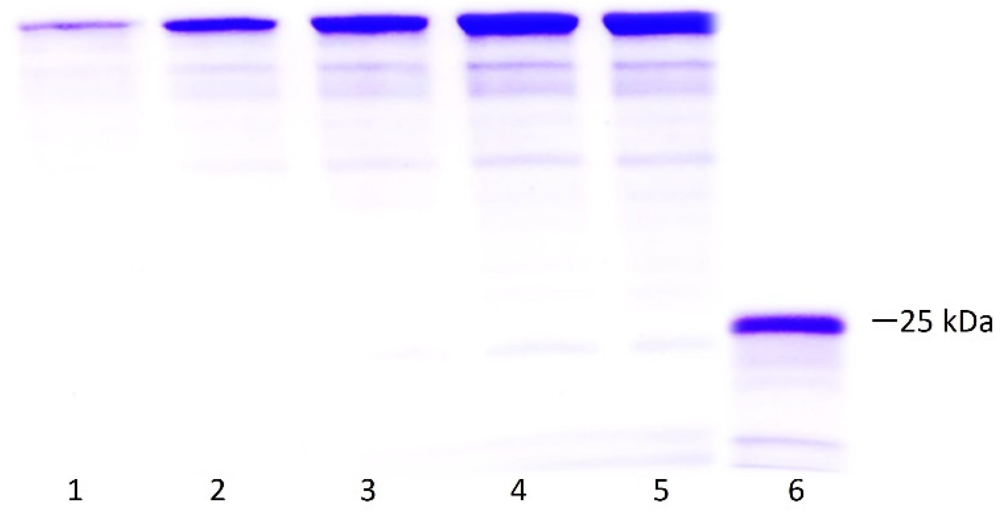 Pharmaceuticals 17 00302 g006