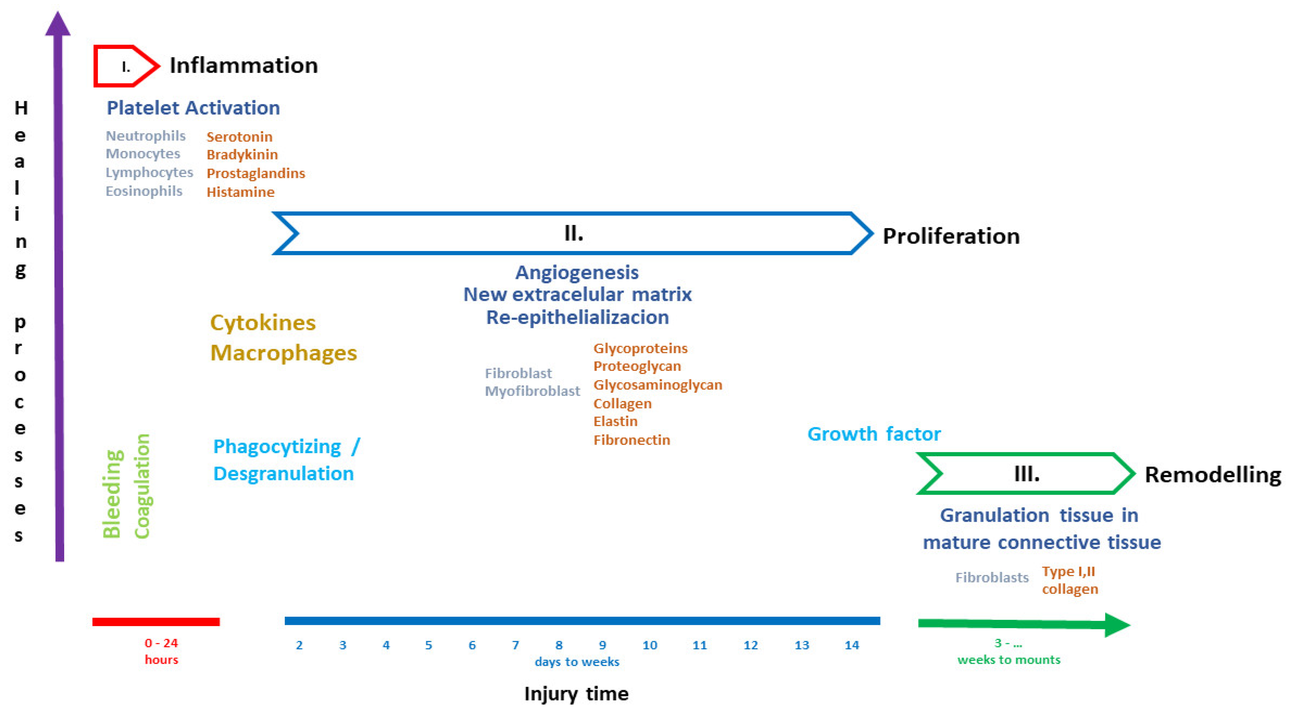 Pharmaceuticals 17 00303 g001 Pharmaceuticals 17 00303 g001