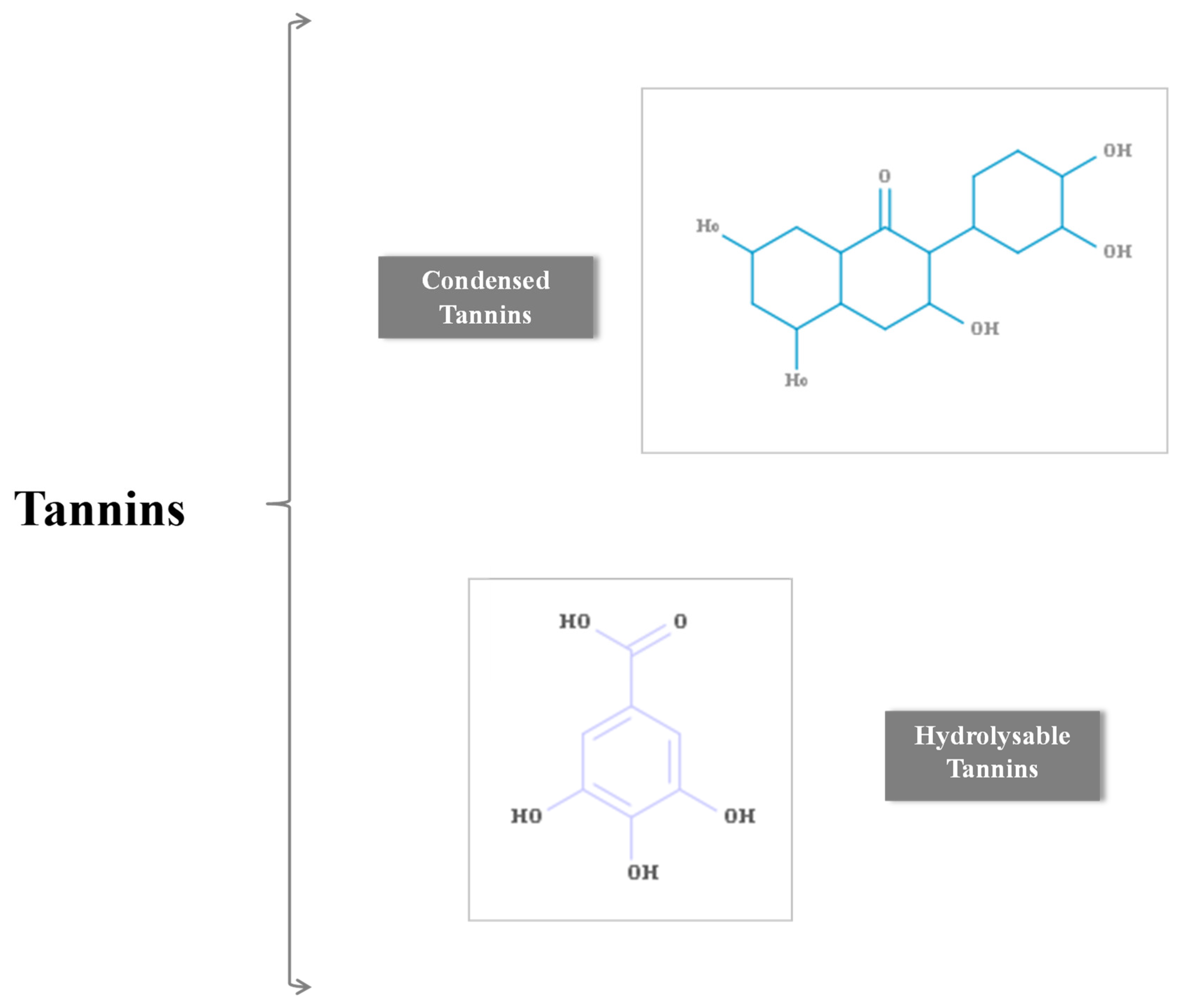 Pharmaceuticals 17 00303 g006 Pharmaceuticals 17 00303 g006
