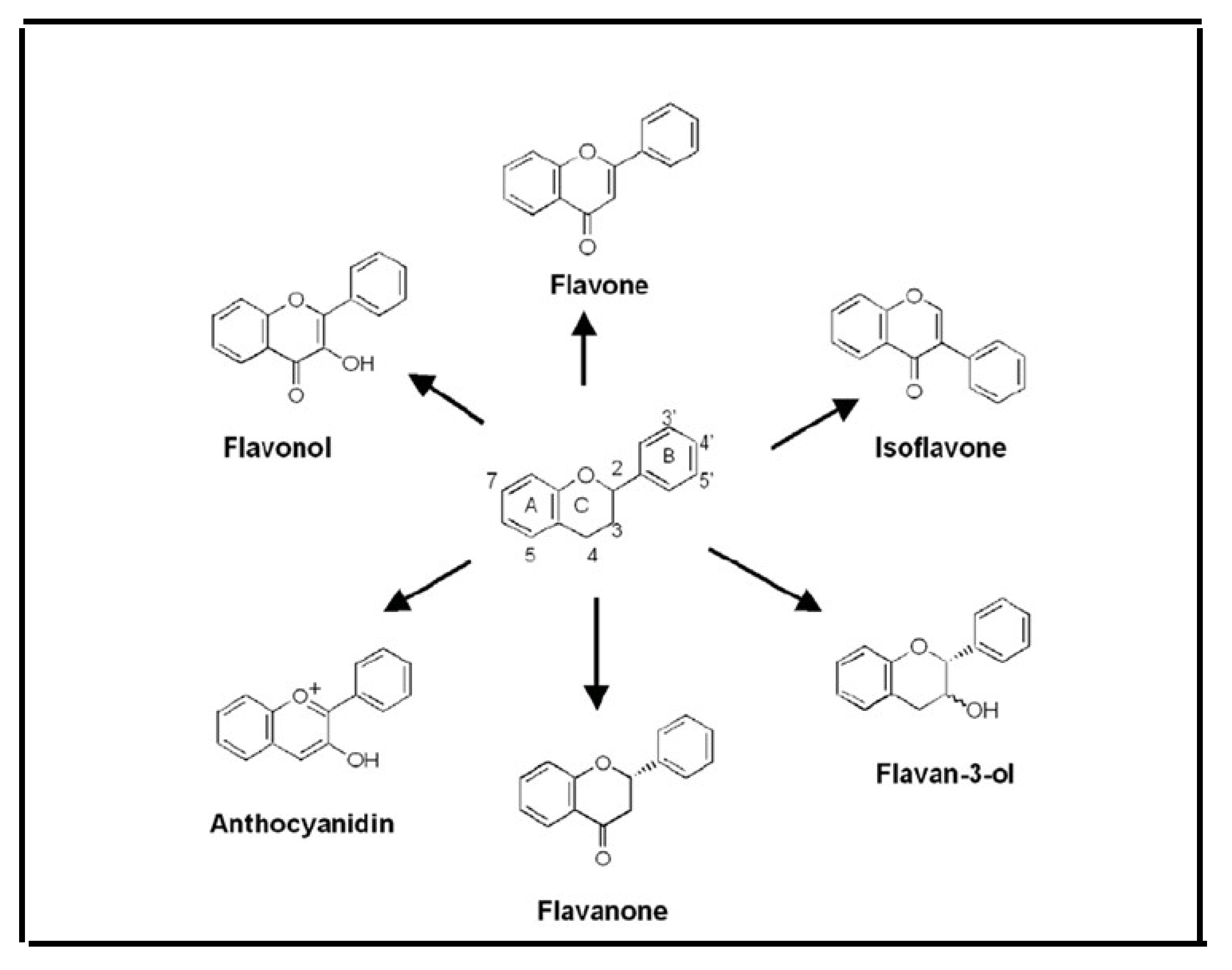 Pharmaceuticals 17 00303 g008 Pharmaceuticals 17 00303 g008