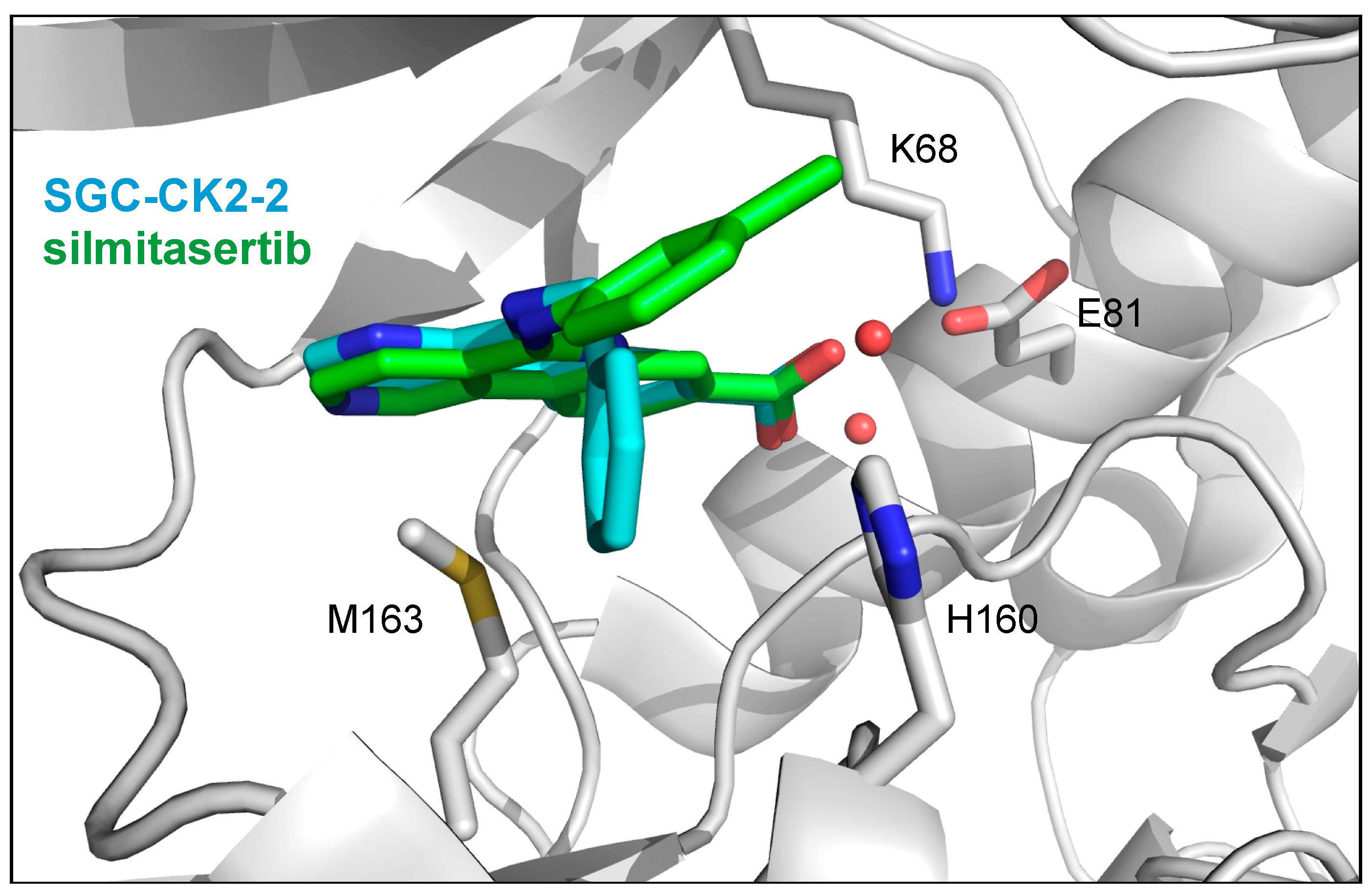 Pharmaceuticals 17 00306 g001