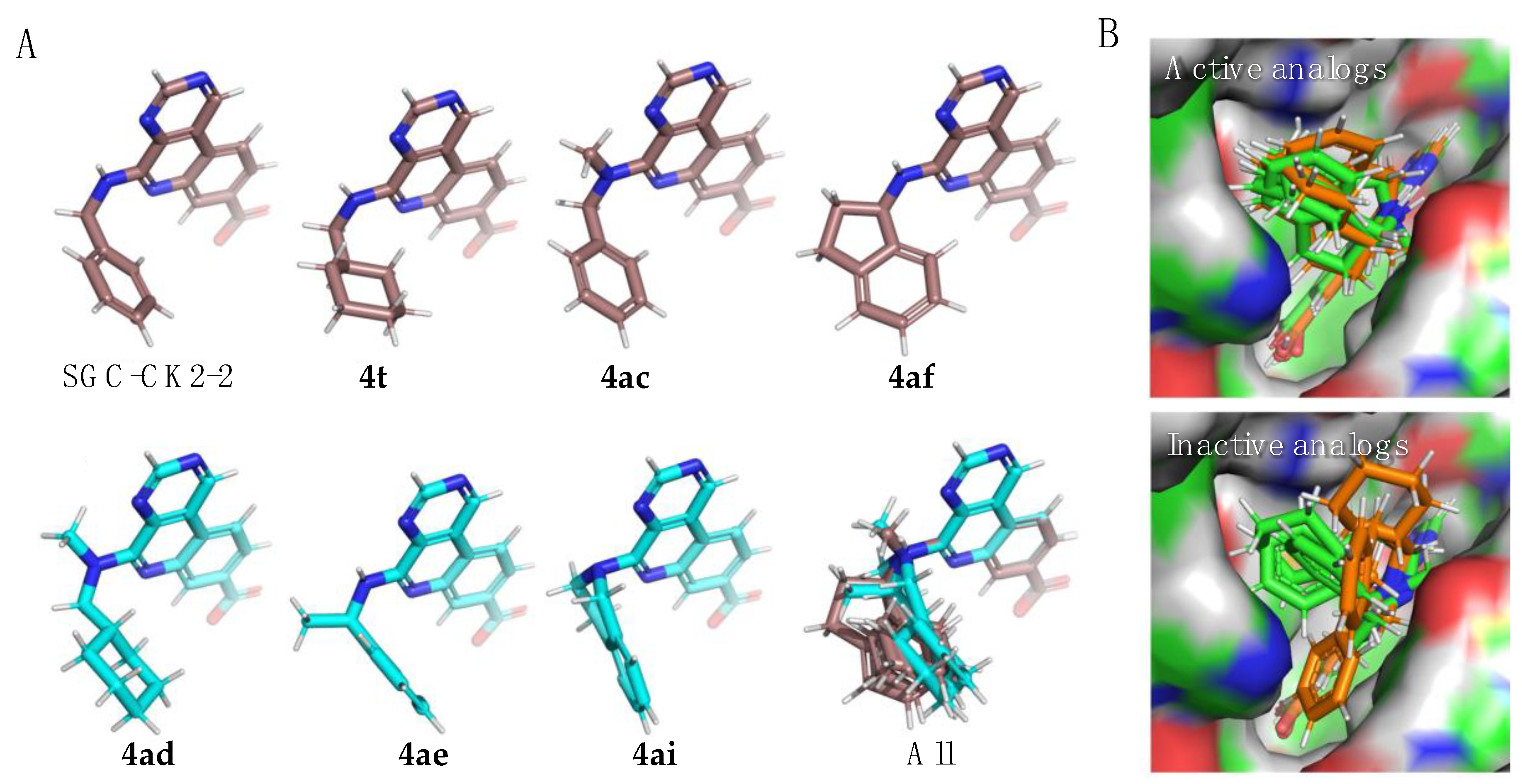 Pharmaceuticals 17 00306 g002