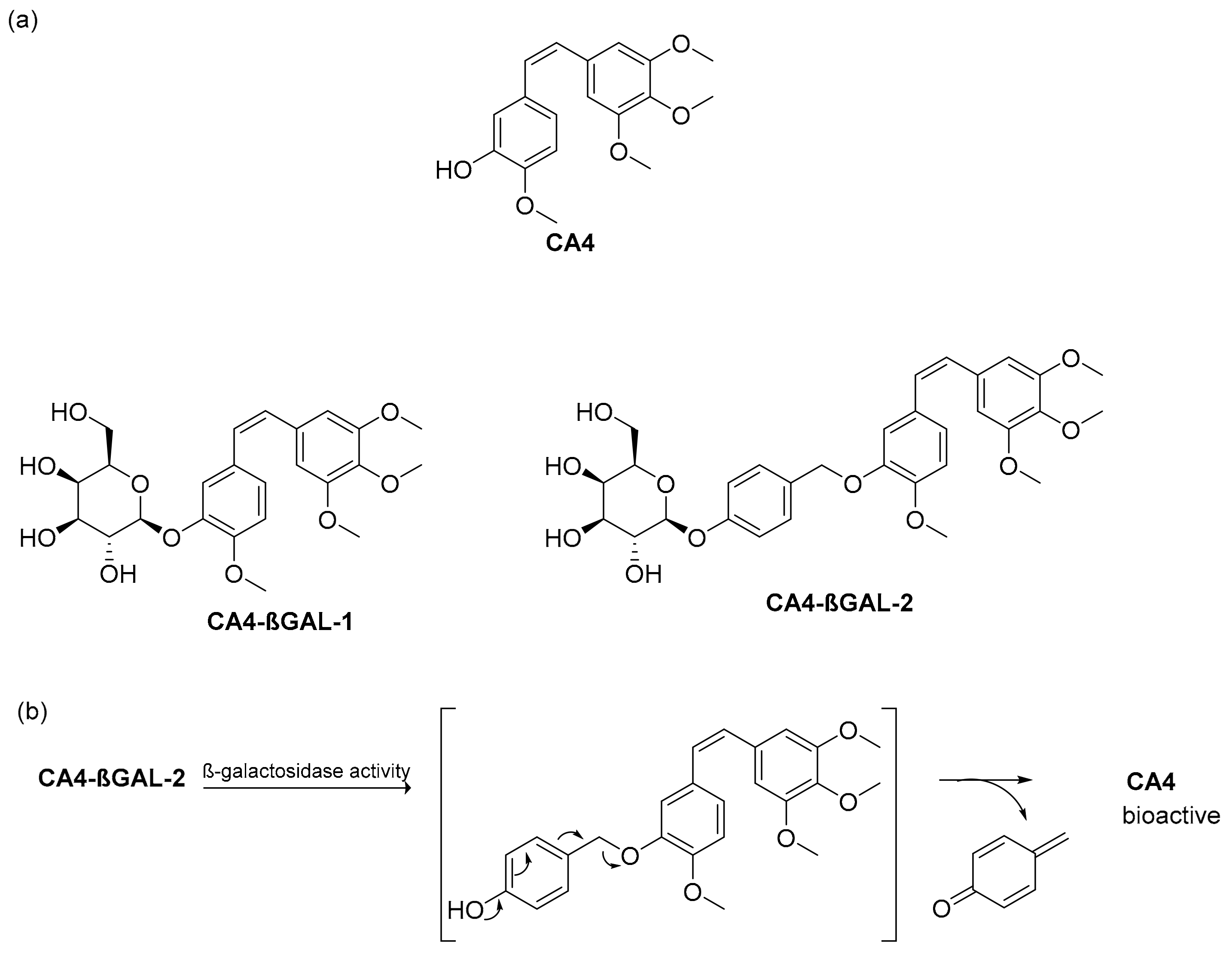 Pharmaceuticals 17 00308 g009 Pharmaceuticals 17 00308 g009