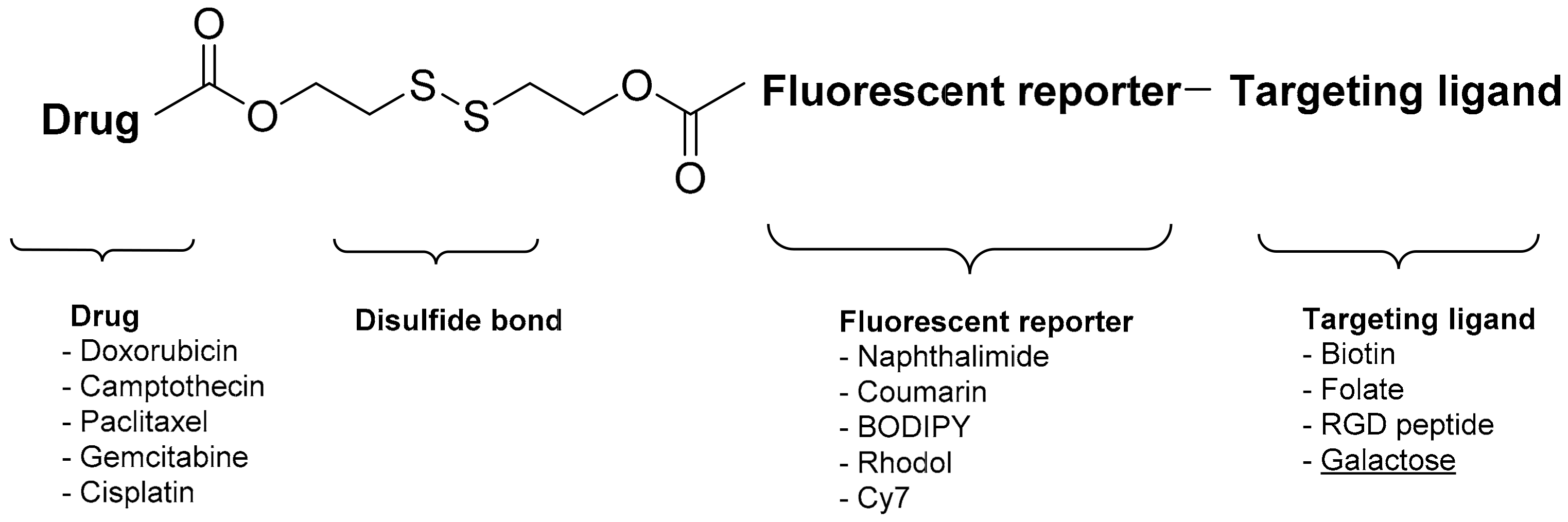 Pharmaceuticals 17 00308 g012 Pharmaceuticals 17 00308 g012