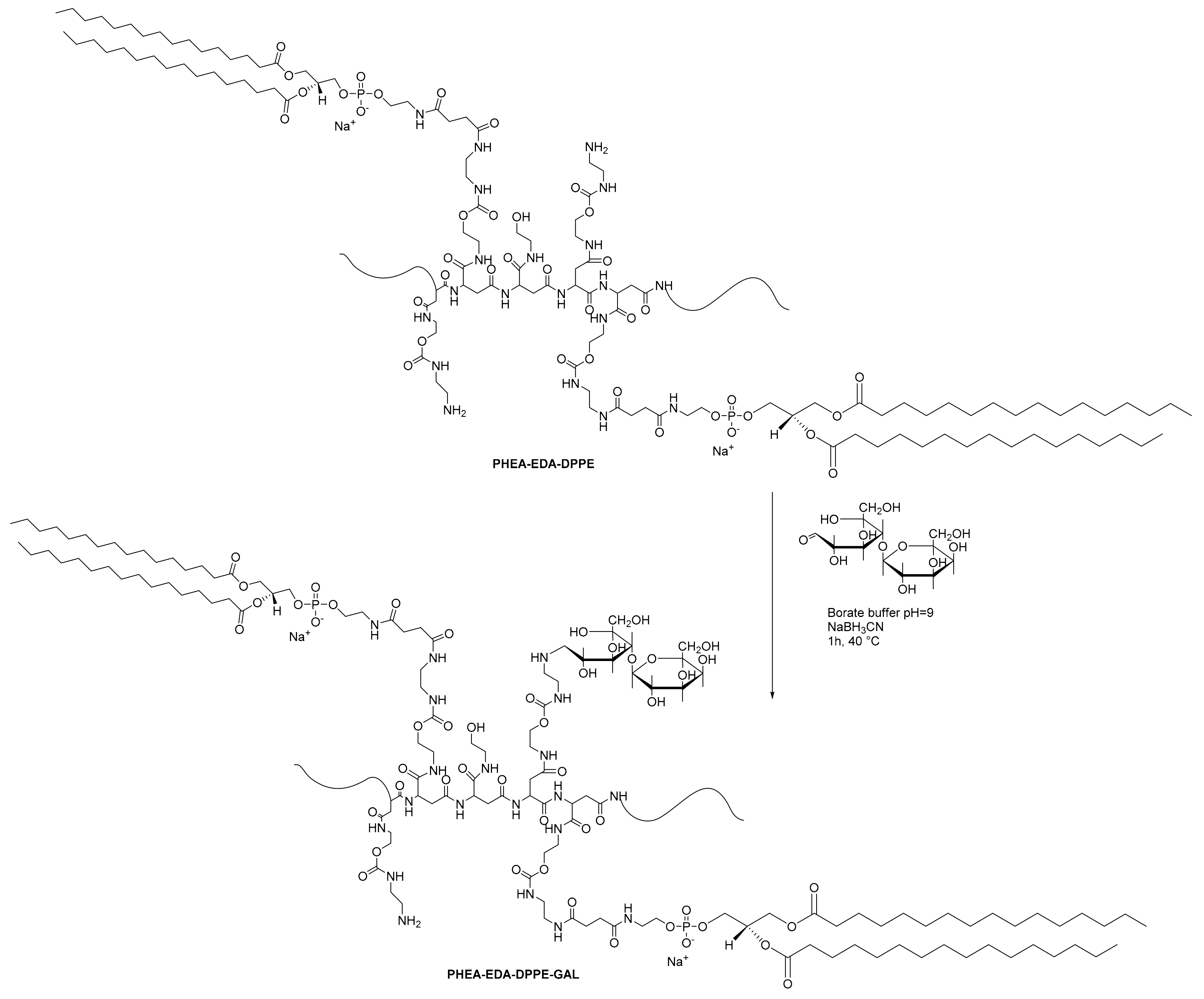 Pharmaceuticals 17 00308 sch001 Pharmaceuticals 17 00308 sch001