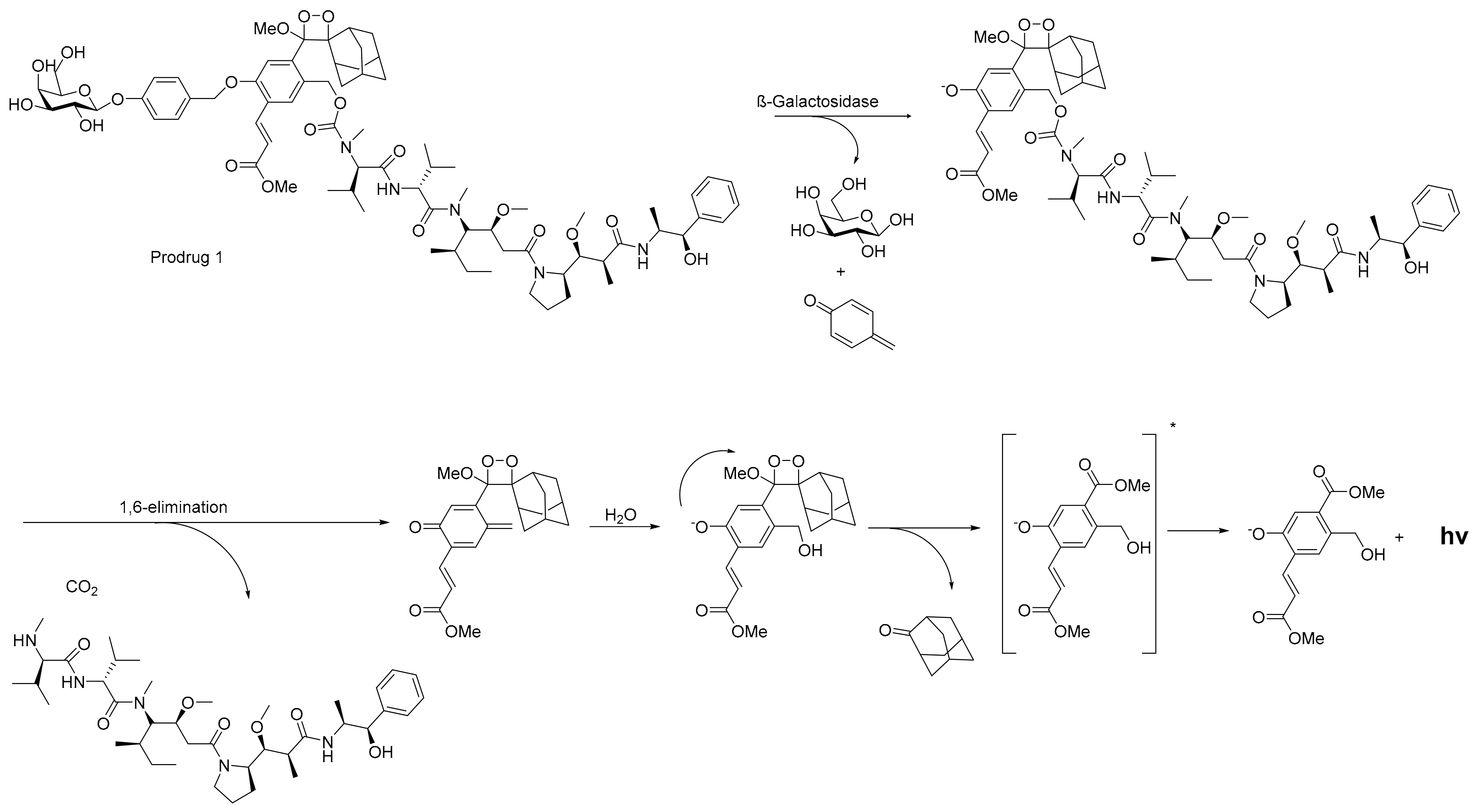 Pharmaceuticals 17 00308 sch008 Pharmaceuticals 17 00308 sch008
