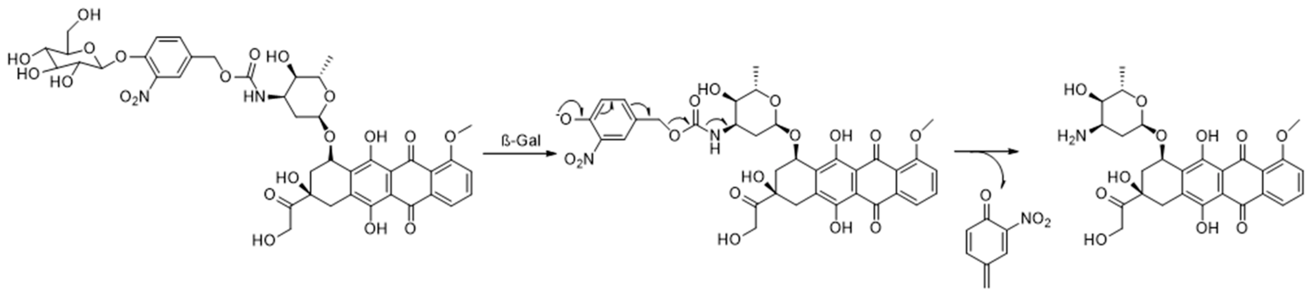 Pharmaceuticals 17 00308 sch009 Pharmaceuticals 17 00308 sch009