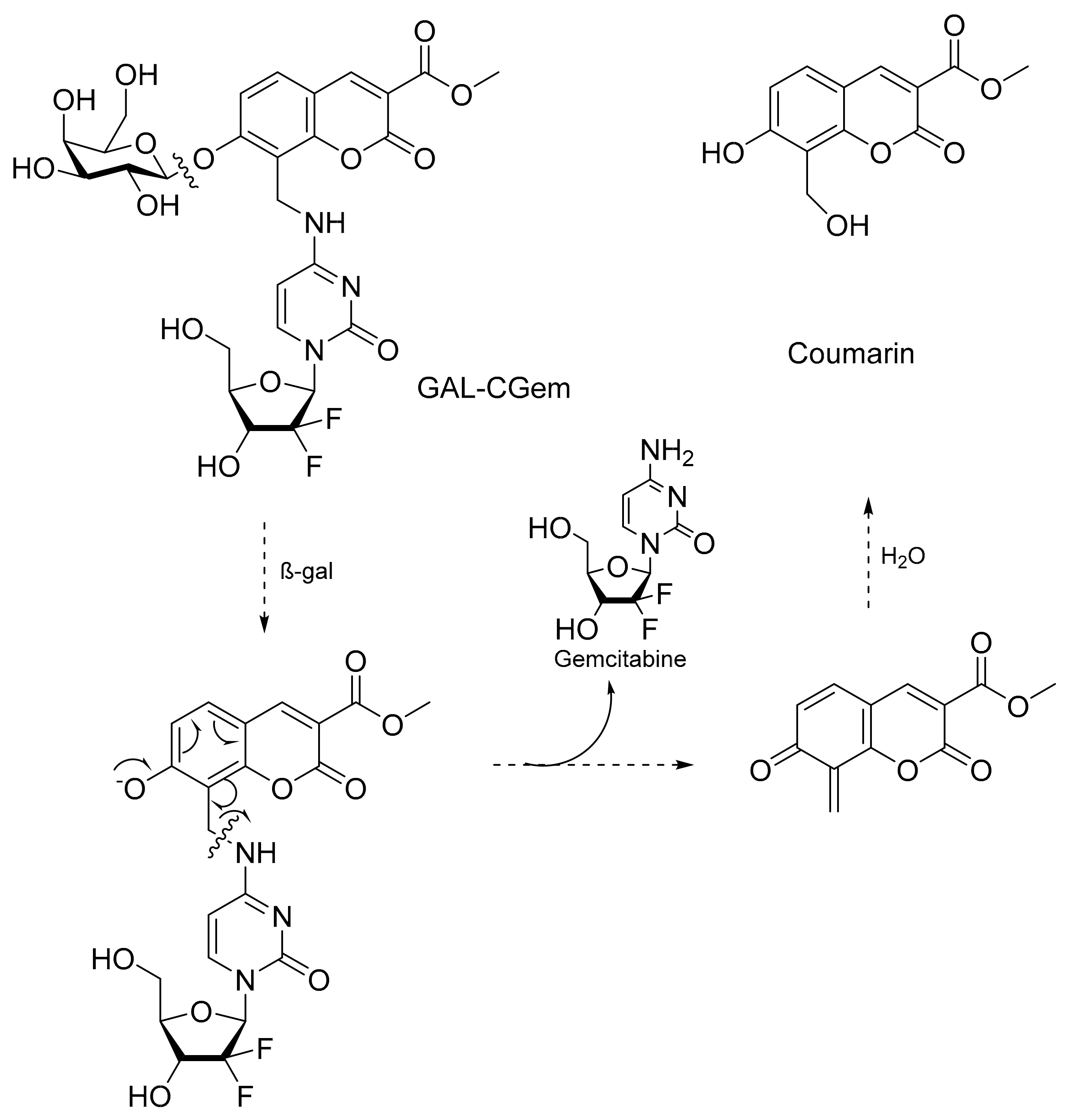 Pharmaceuticals 17 00308 sch010 Pharmaceuticals 17 00308 sch010