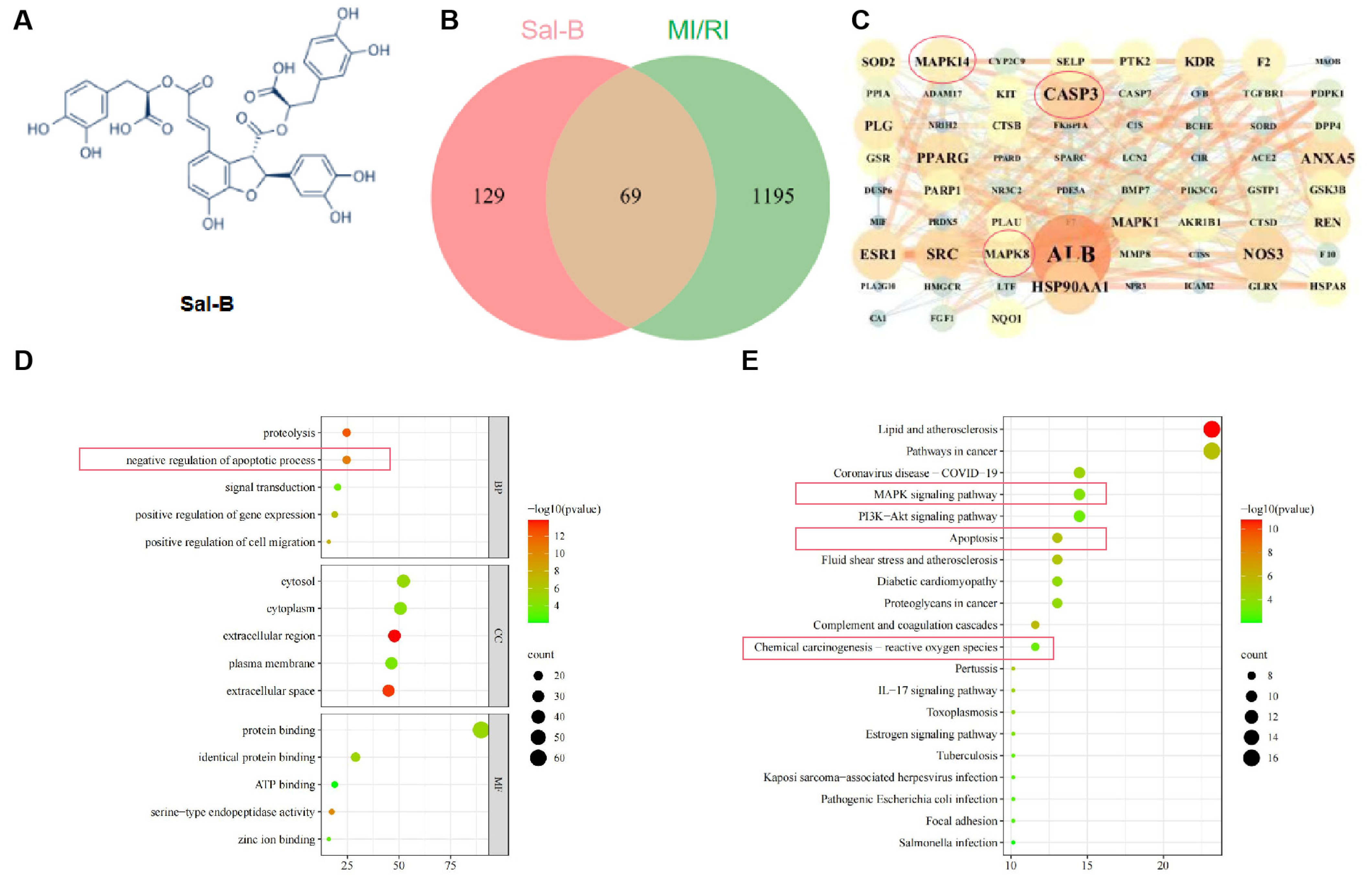Pharmaceuticals 17 00309 g001 Pharmaceuticals 17 00309 g001