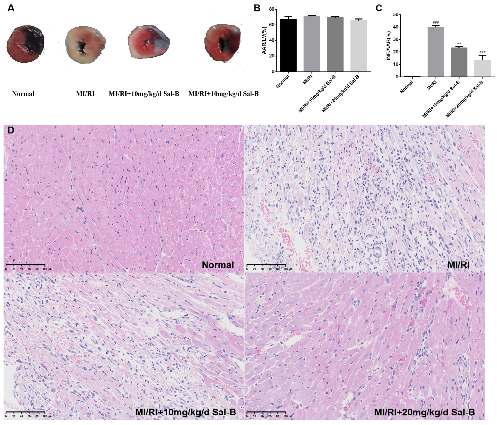 Pharmaceuticals 17 00309 g002 Pharmaceuticals 17 00309 g002