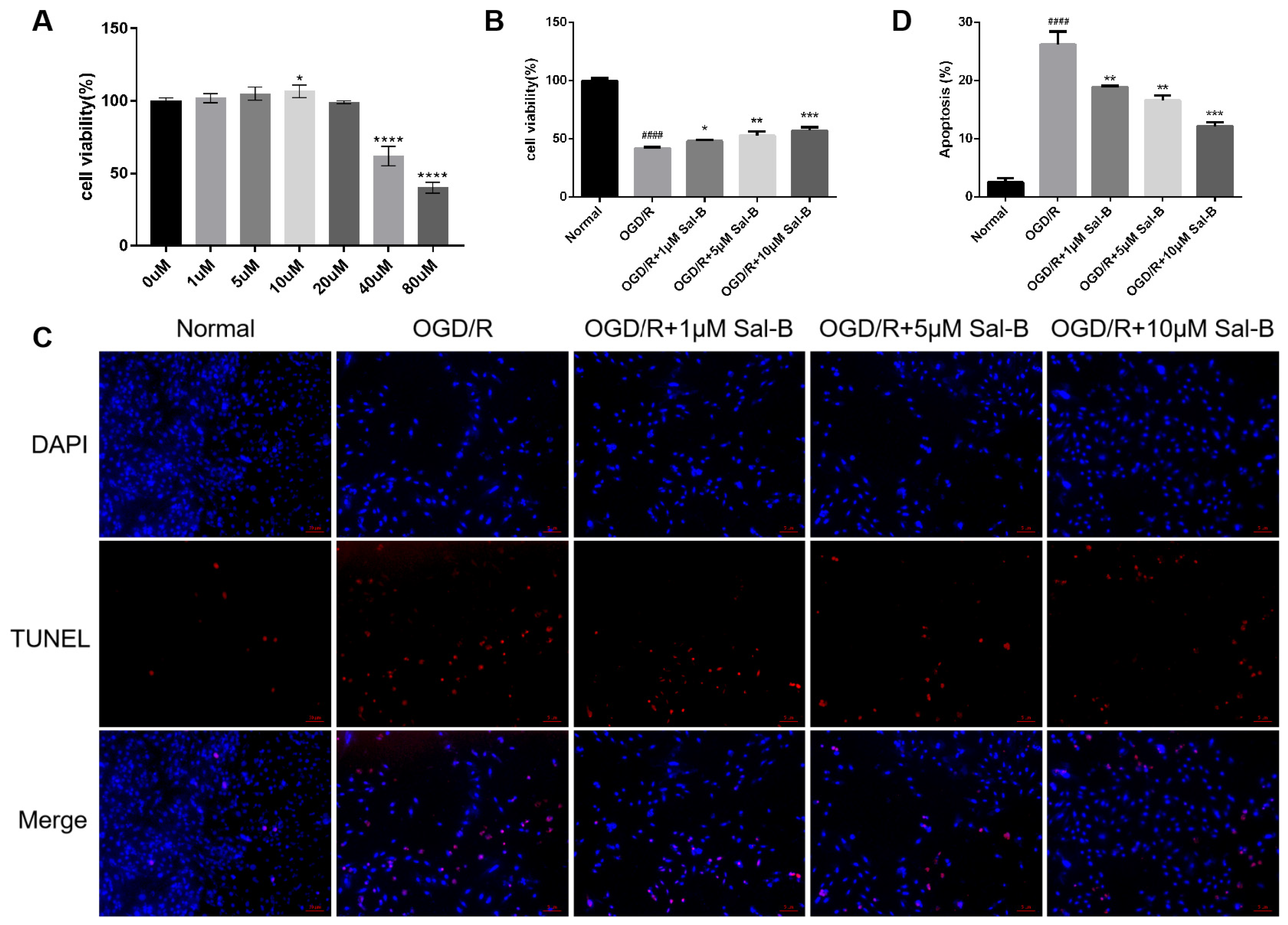 Pharmaceuticals 17 00309 g003 Pharmaceuticals 17 00309 g003