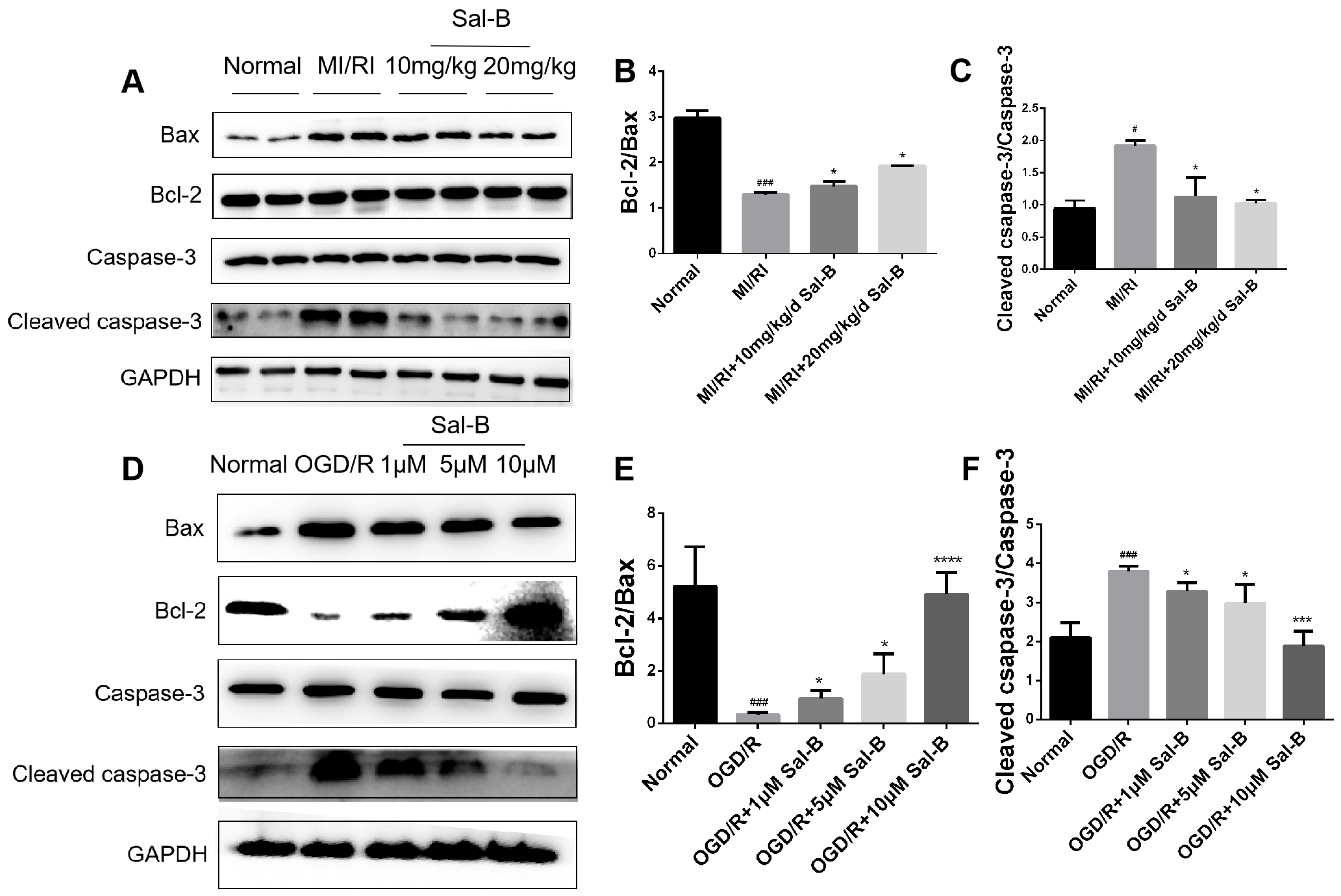 Pharmaceuticals 17 00309 g004 Pharmaceuticals 17 00309 g004