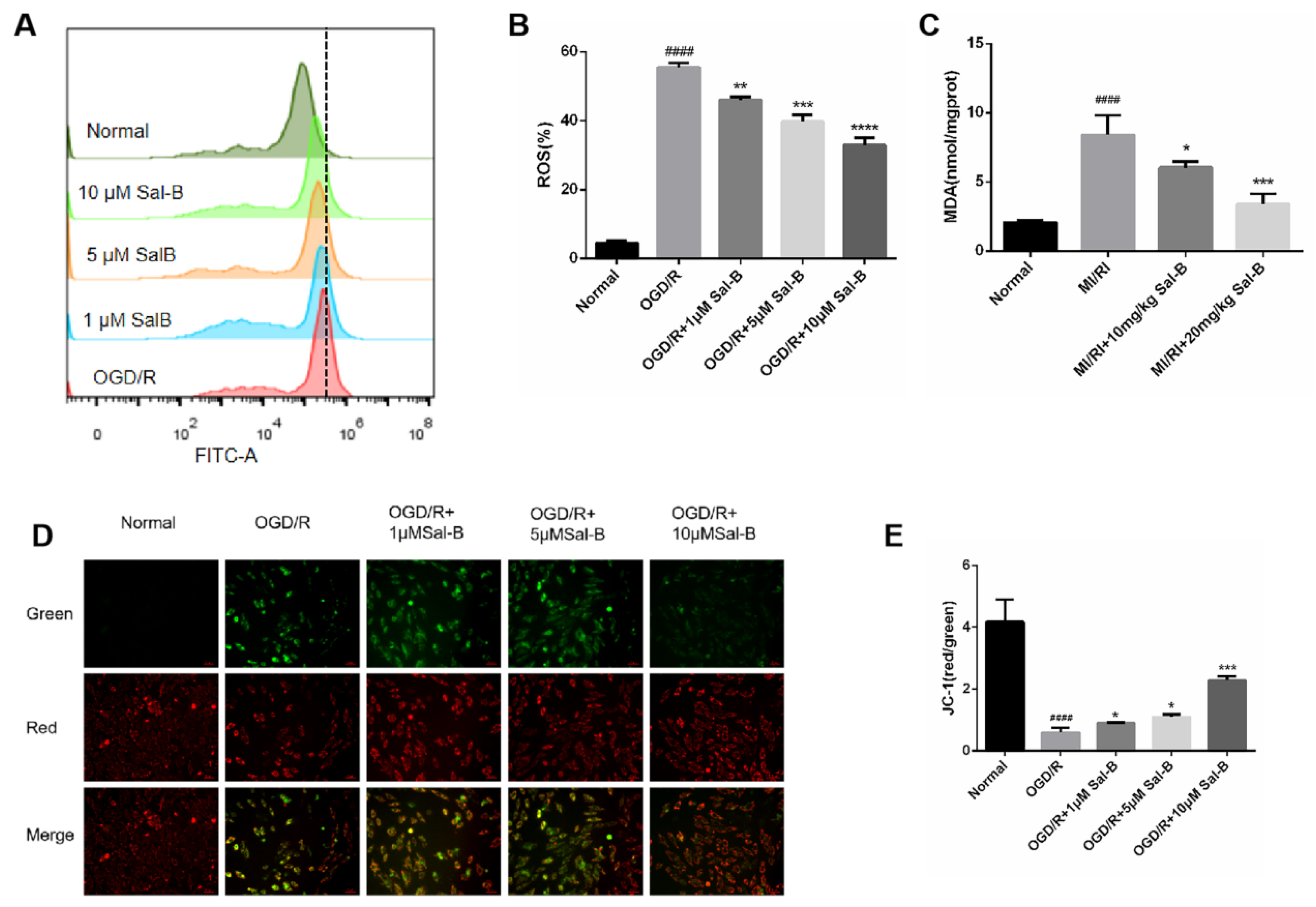 Pharmaceuticals 17 00309 g005 Pharmaceuticals 17 00309 g005