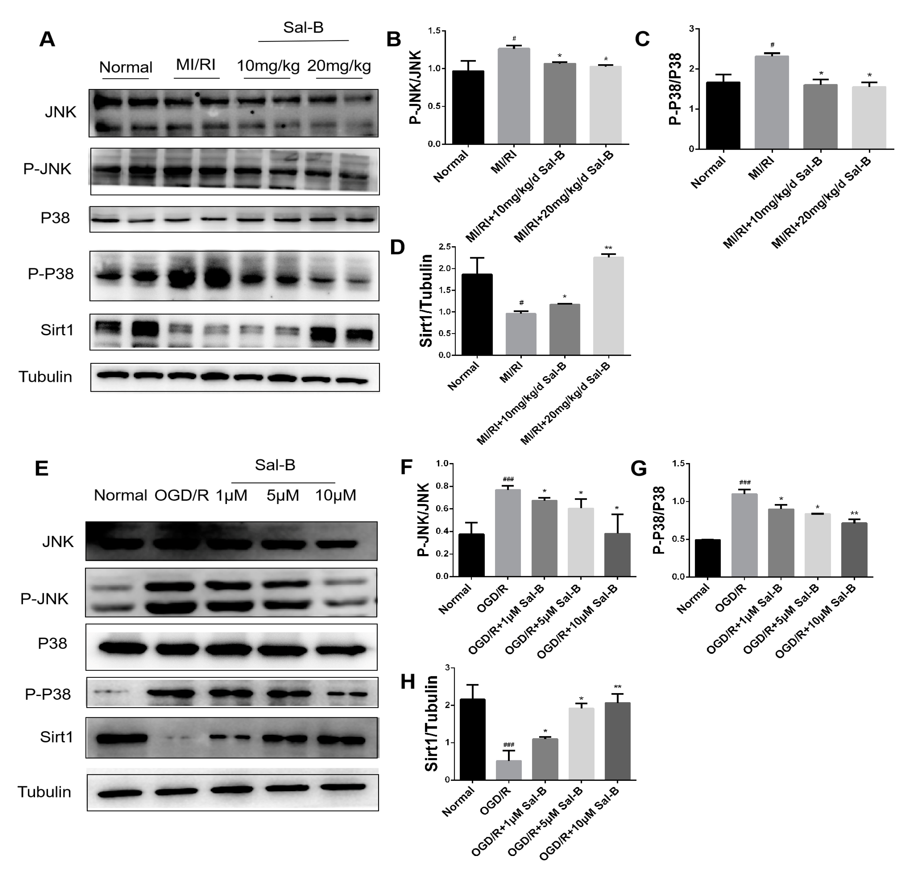 Pharmaceuticals 17 00309 g006 Pharmaceuticals 17 00309 g006