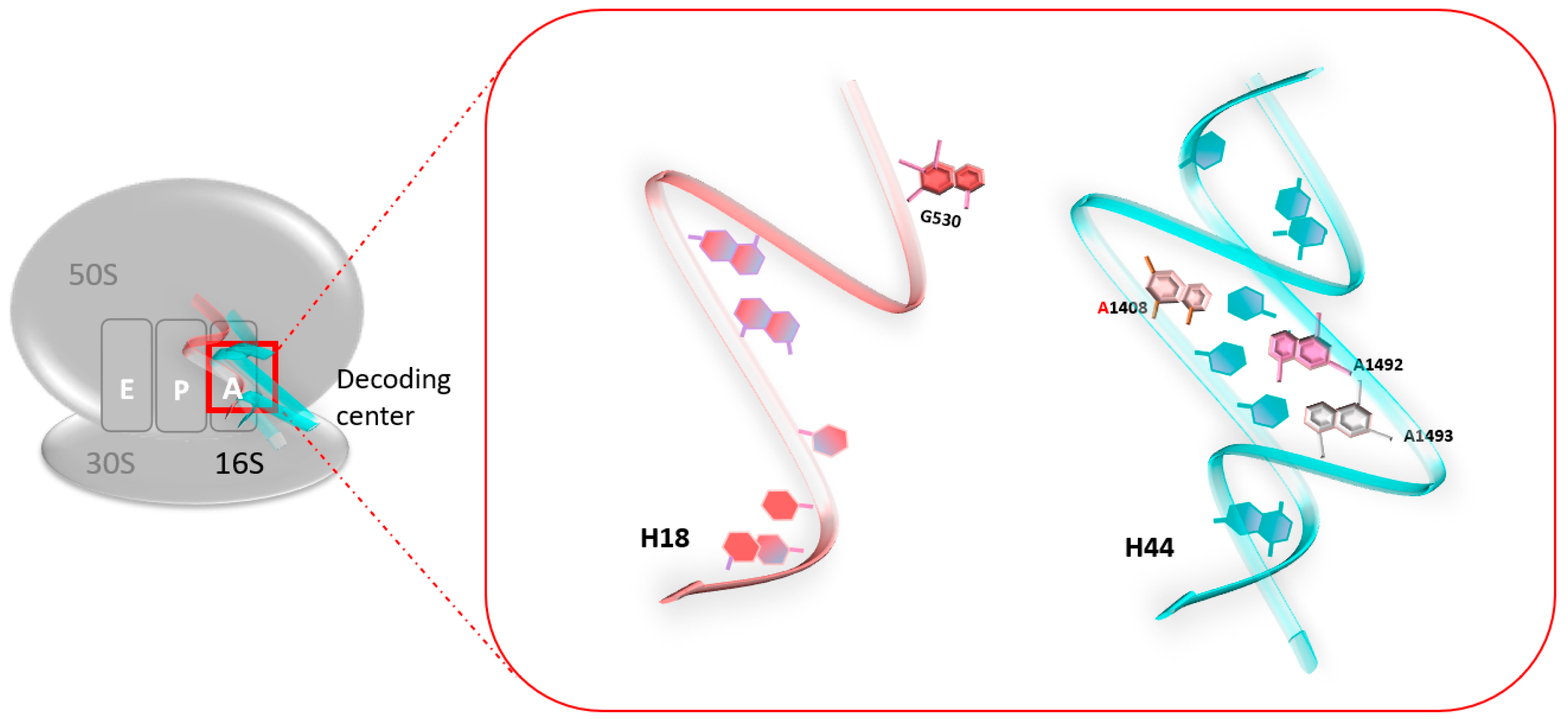 Pharmaceuticals 17 00314 g001 Pharmaceuticals 17 00314 g001