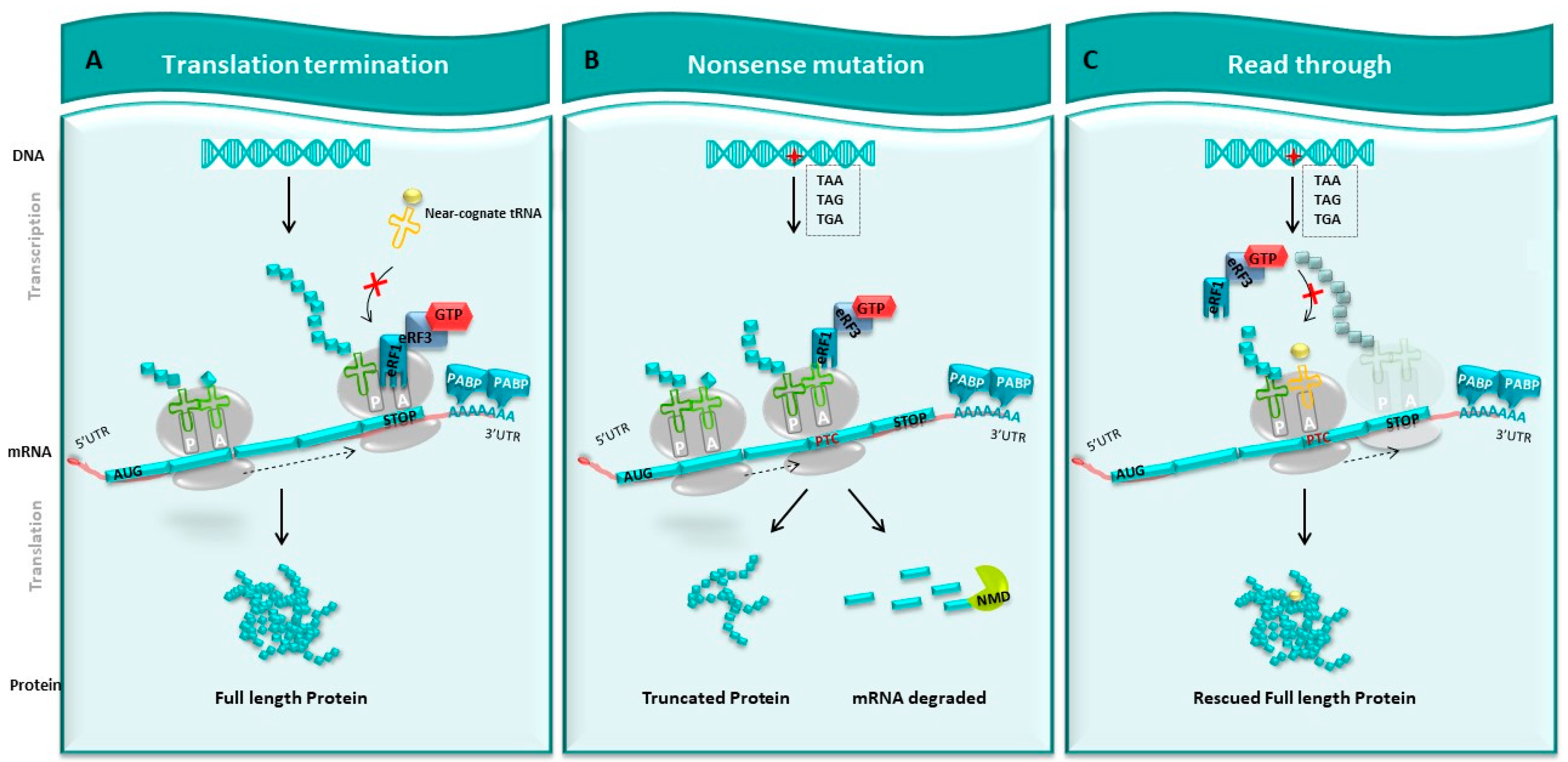 Pharmaceuticals 17 00314 g002 Pharmaceuticals 17 00314 g002