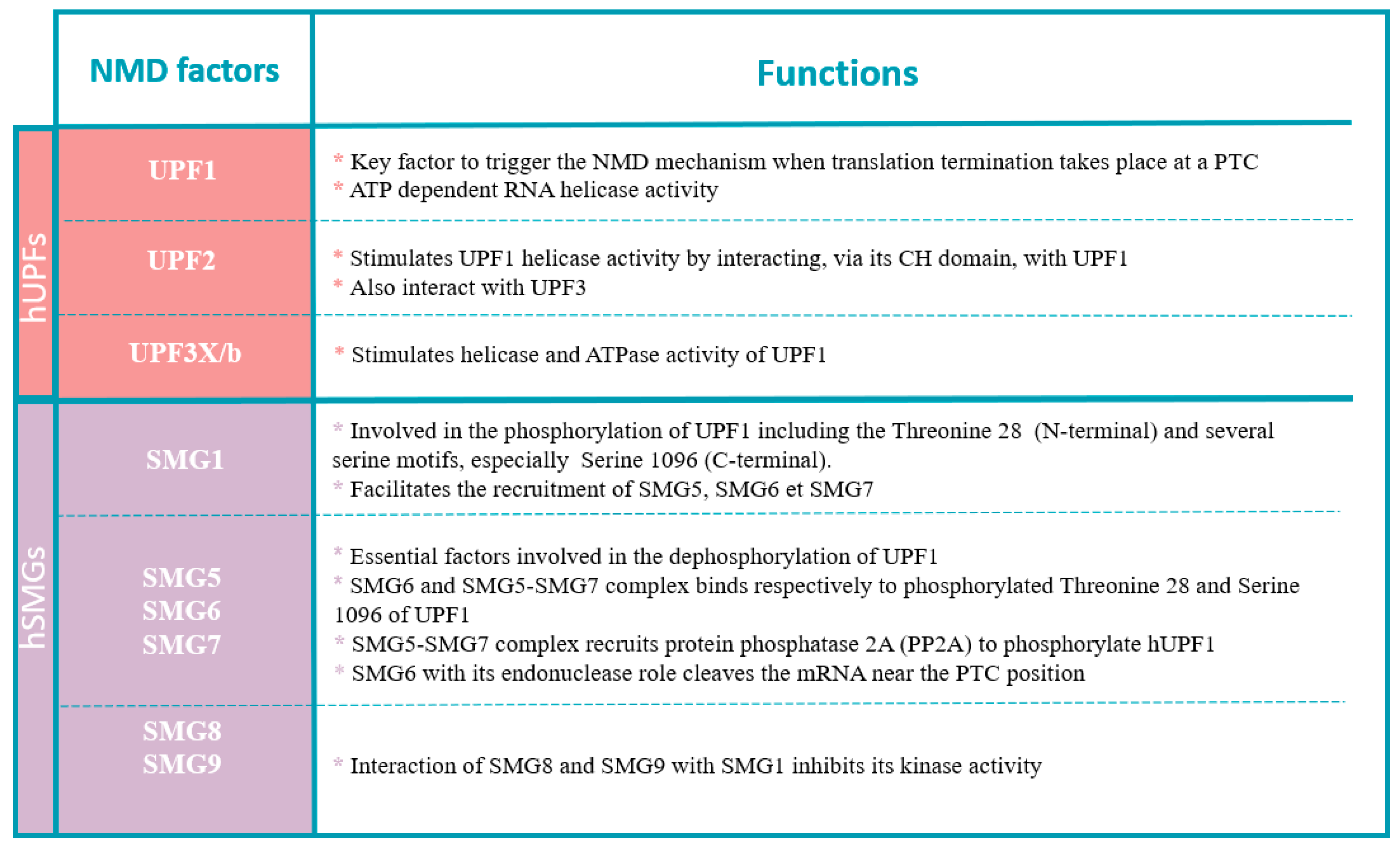 Pharmaceuticals 17 00314 g004 Pharmaceuticals 17 00314 g004