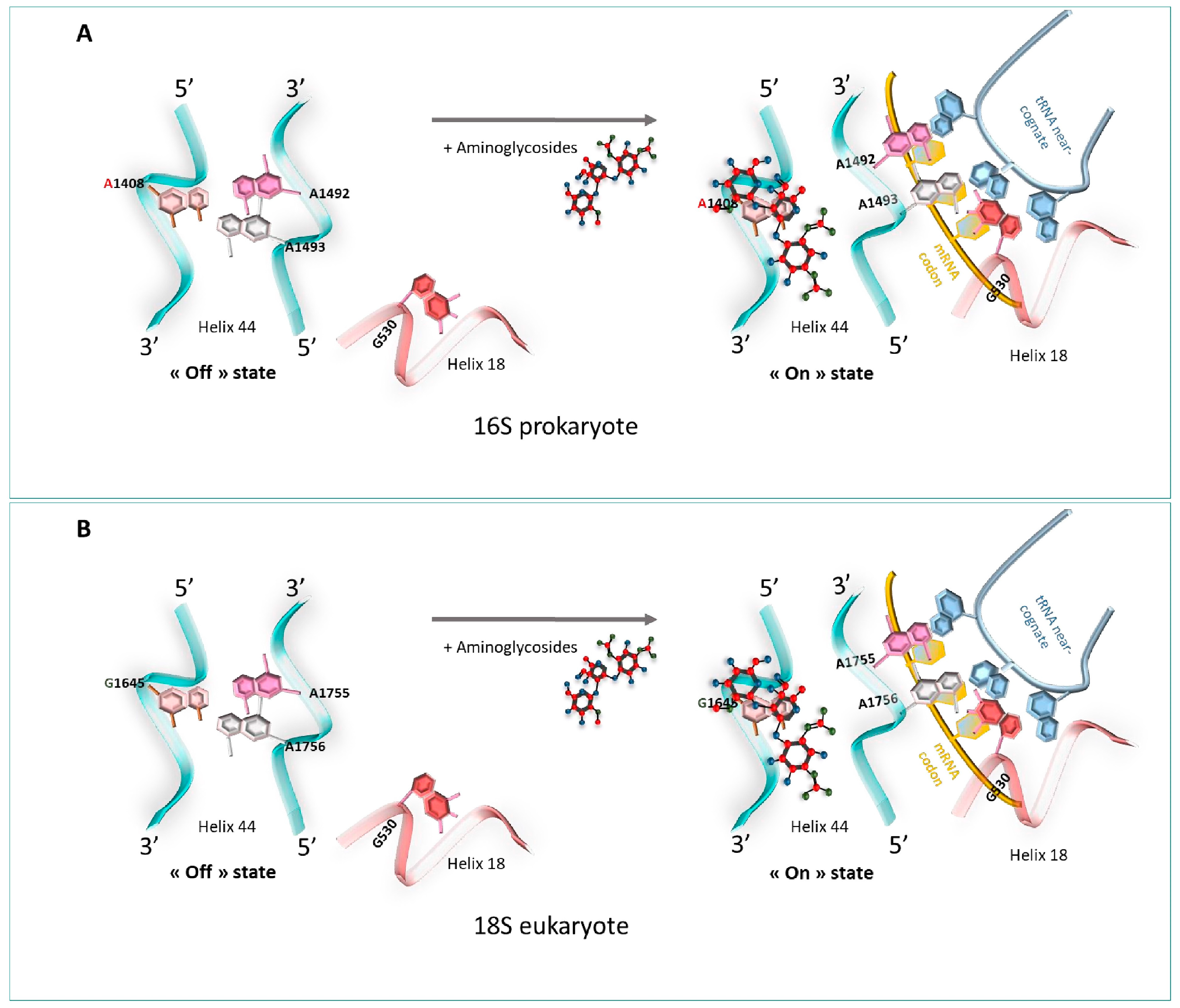 Pharmaceuticals 17 00314 g007 Pharmaceuticals 17 00314 g007