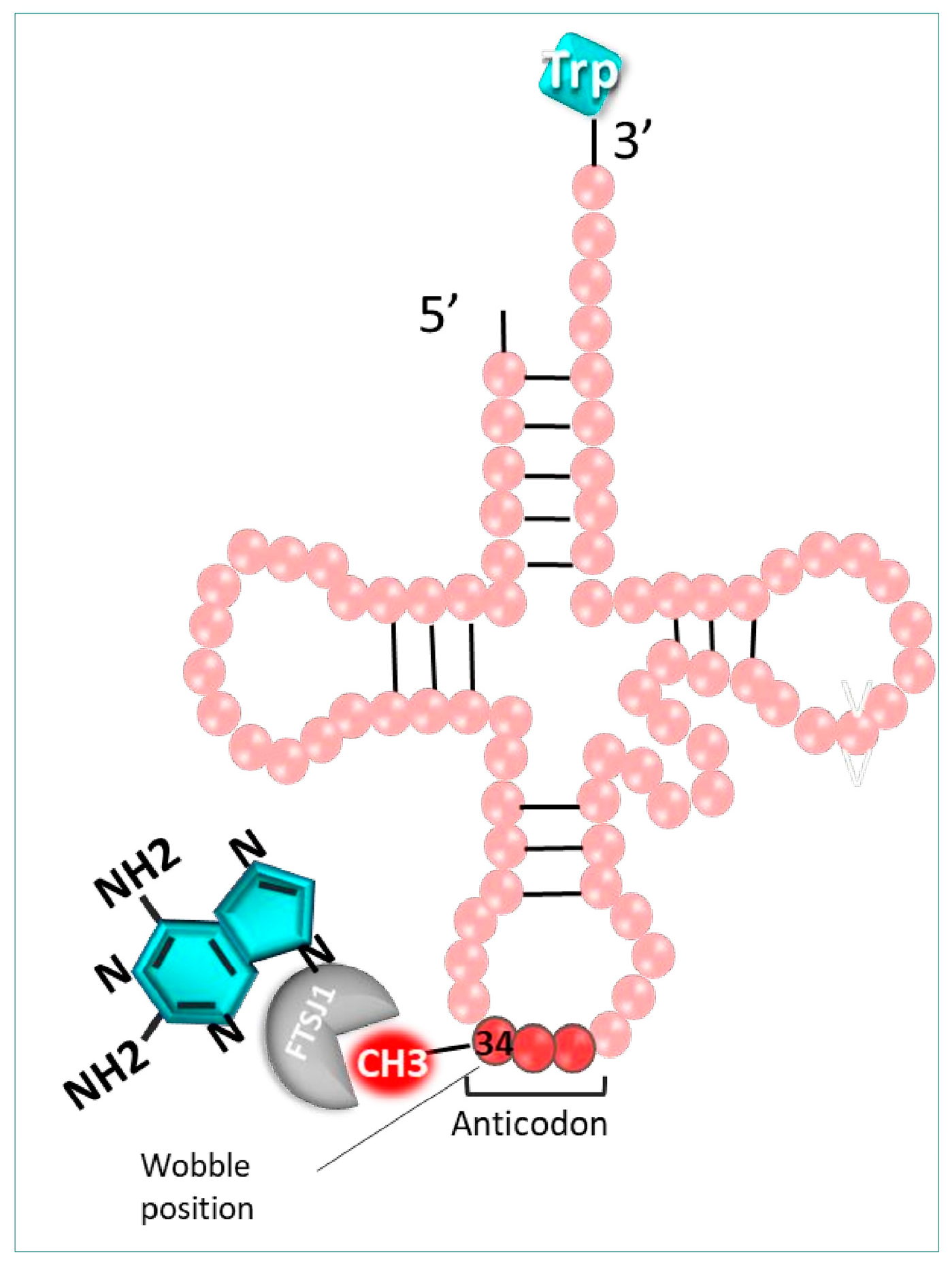 Pharmaceuticals 17 00314 g008 Pharmaceuticals 17 00314 g008