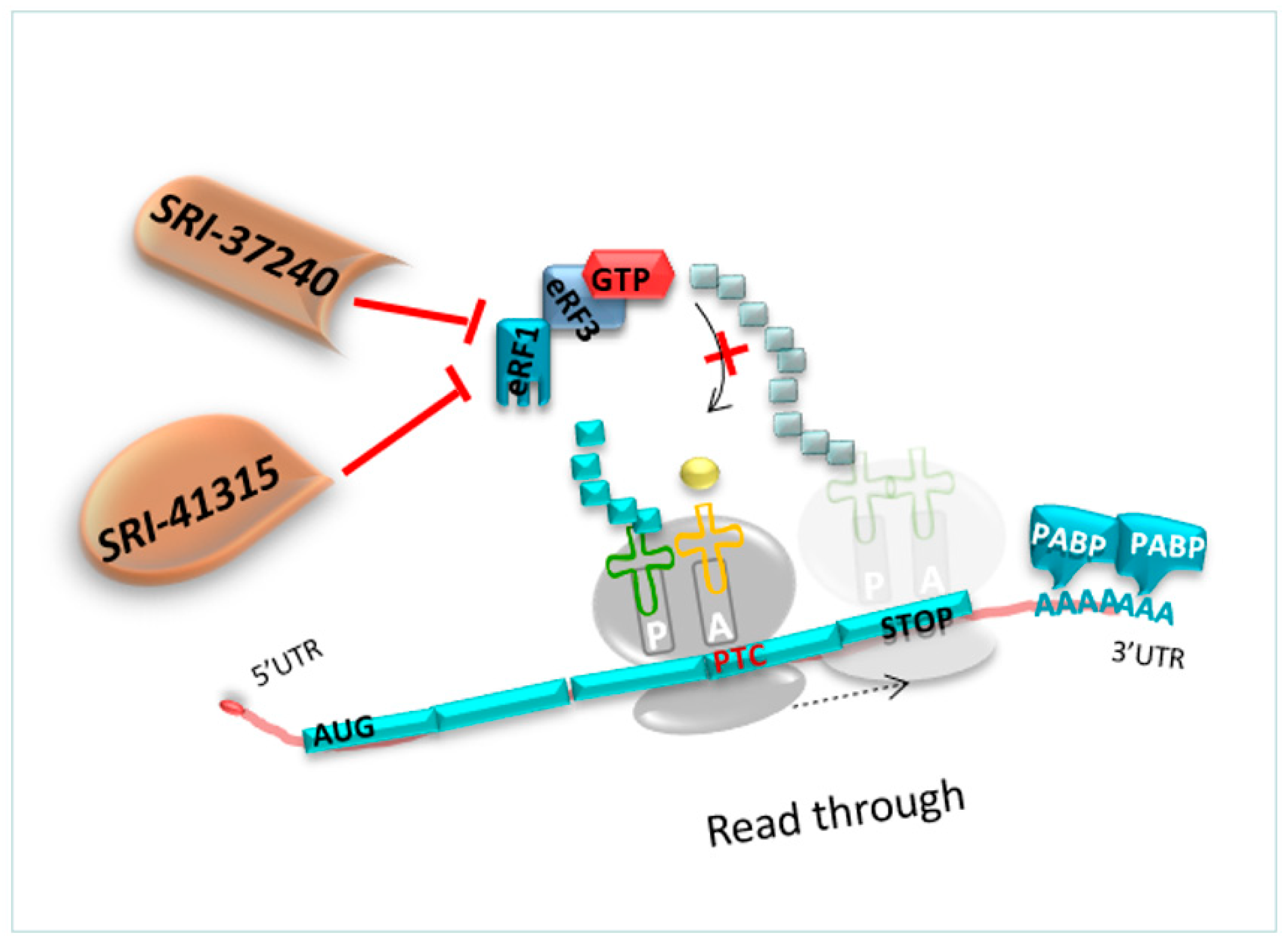 Pharmaceuticals 17 00314 g009 Pharmaceuticals 17 00314 g009