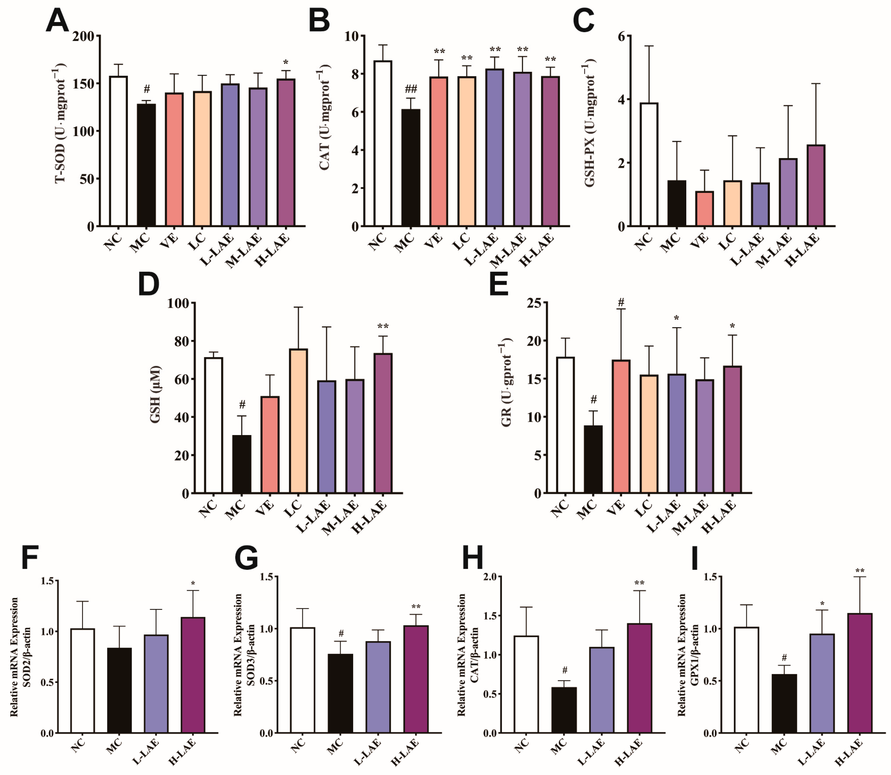 Pharmaceuticals 17 00322 g009