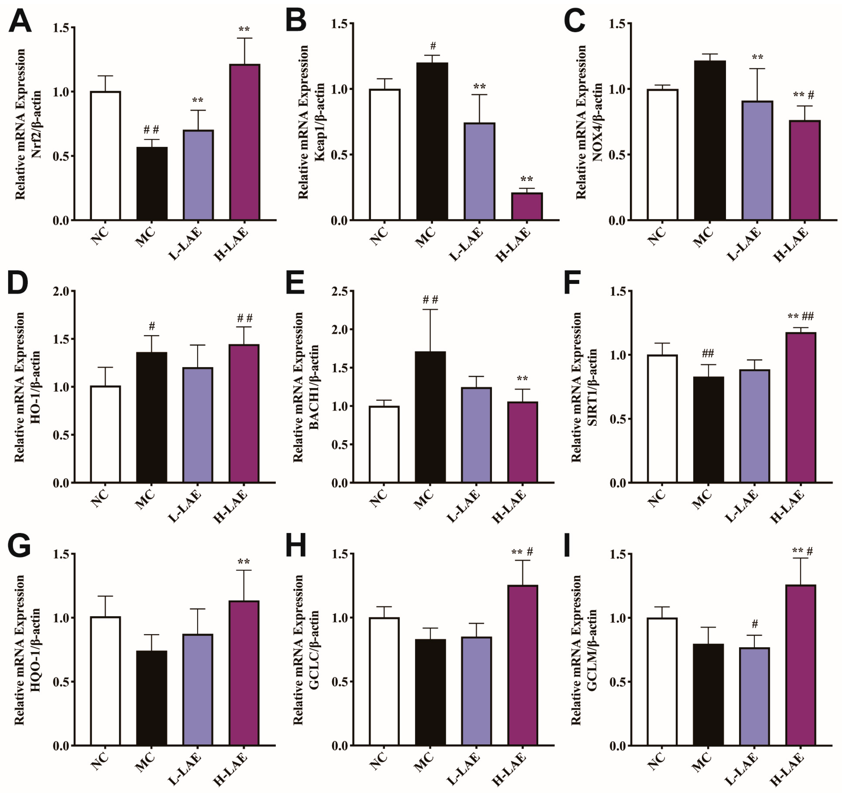 Pharmaceuticals 17 00322 g010