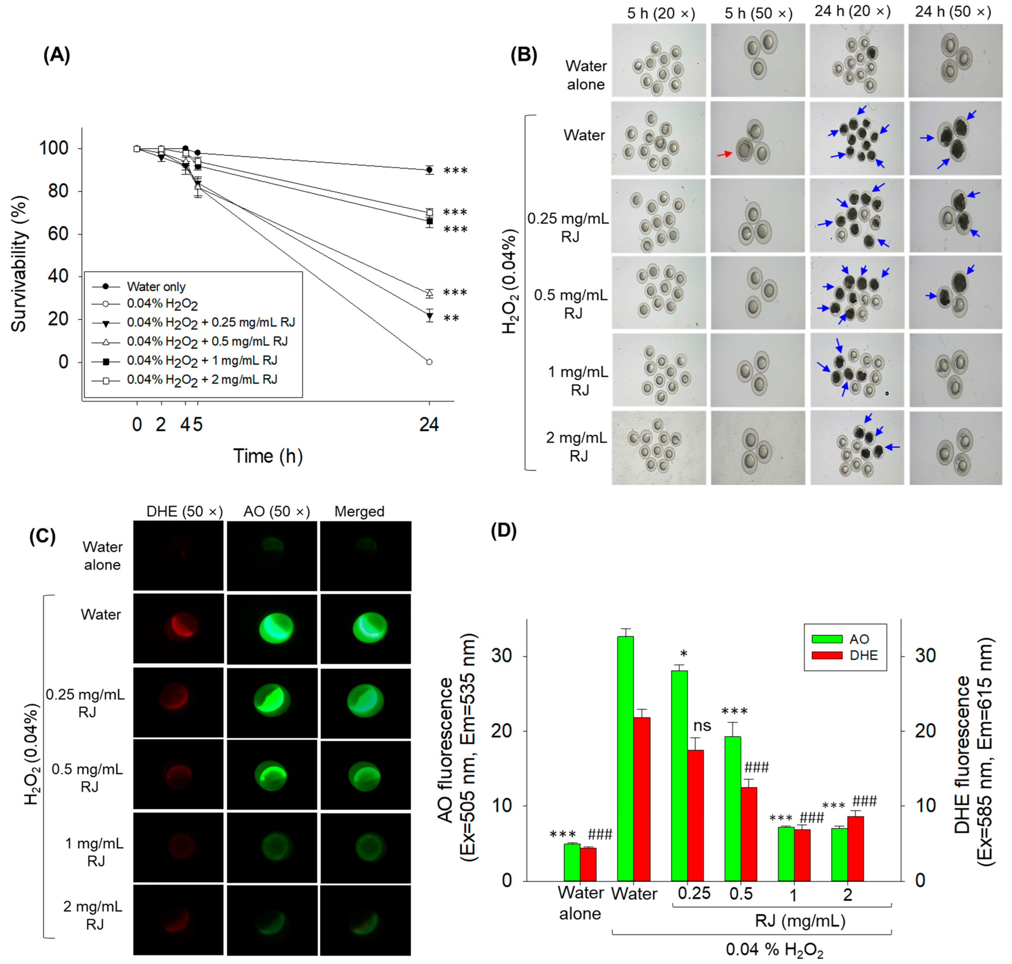 Pharmaceuticals 17 00324 g002