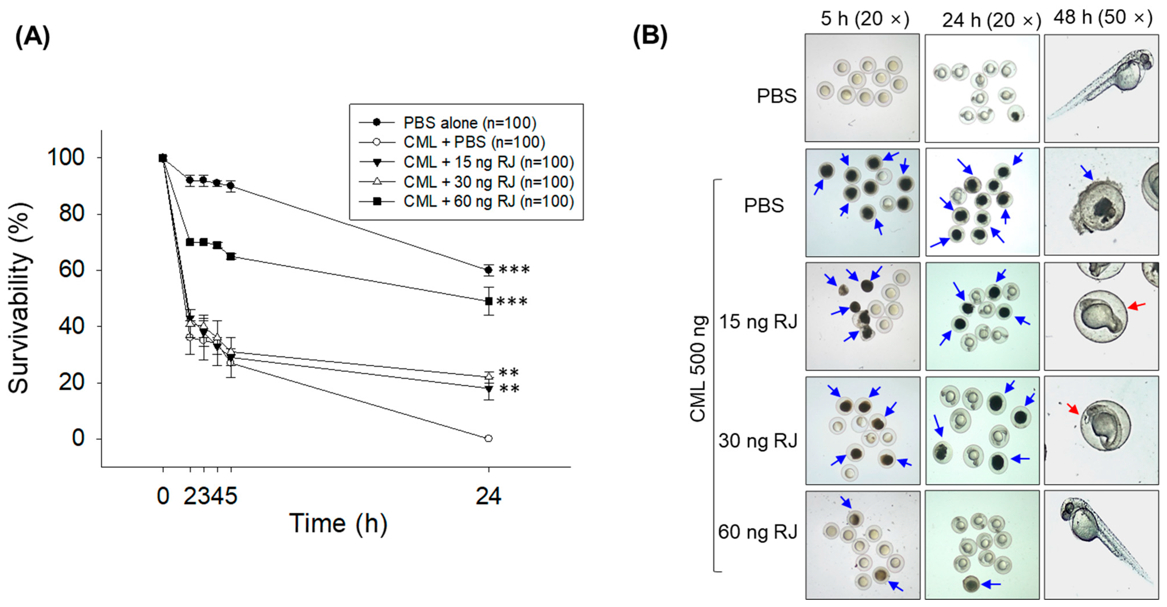 Pharmaceuticals 17 00324 g003a