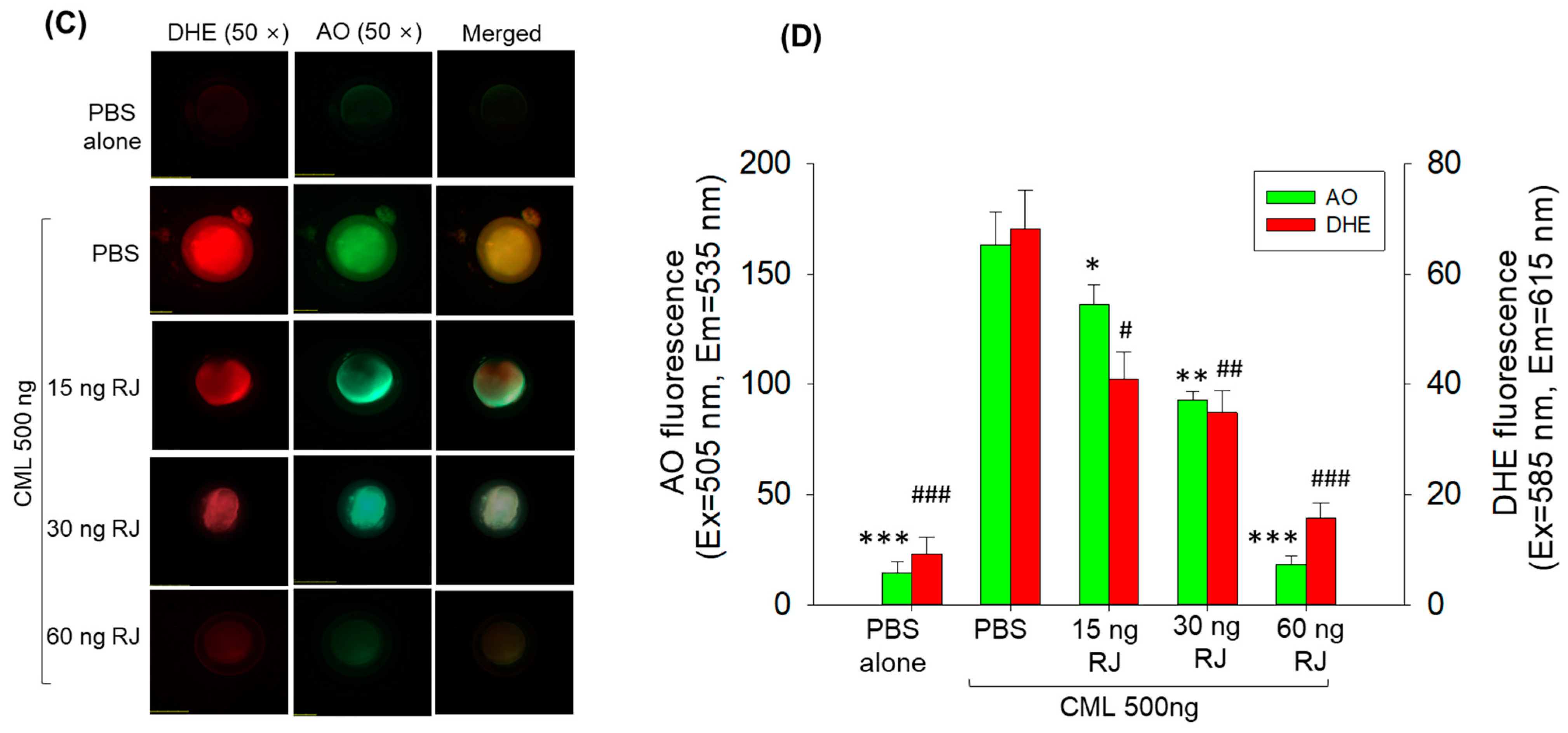 Pharmaceuticals 17 00324 g003b