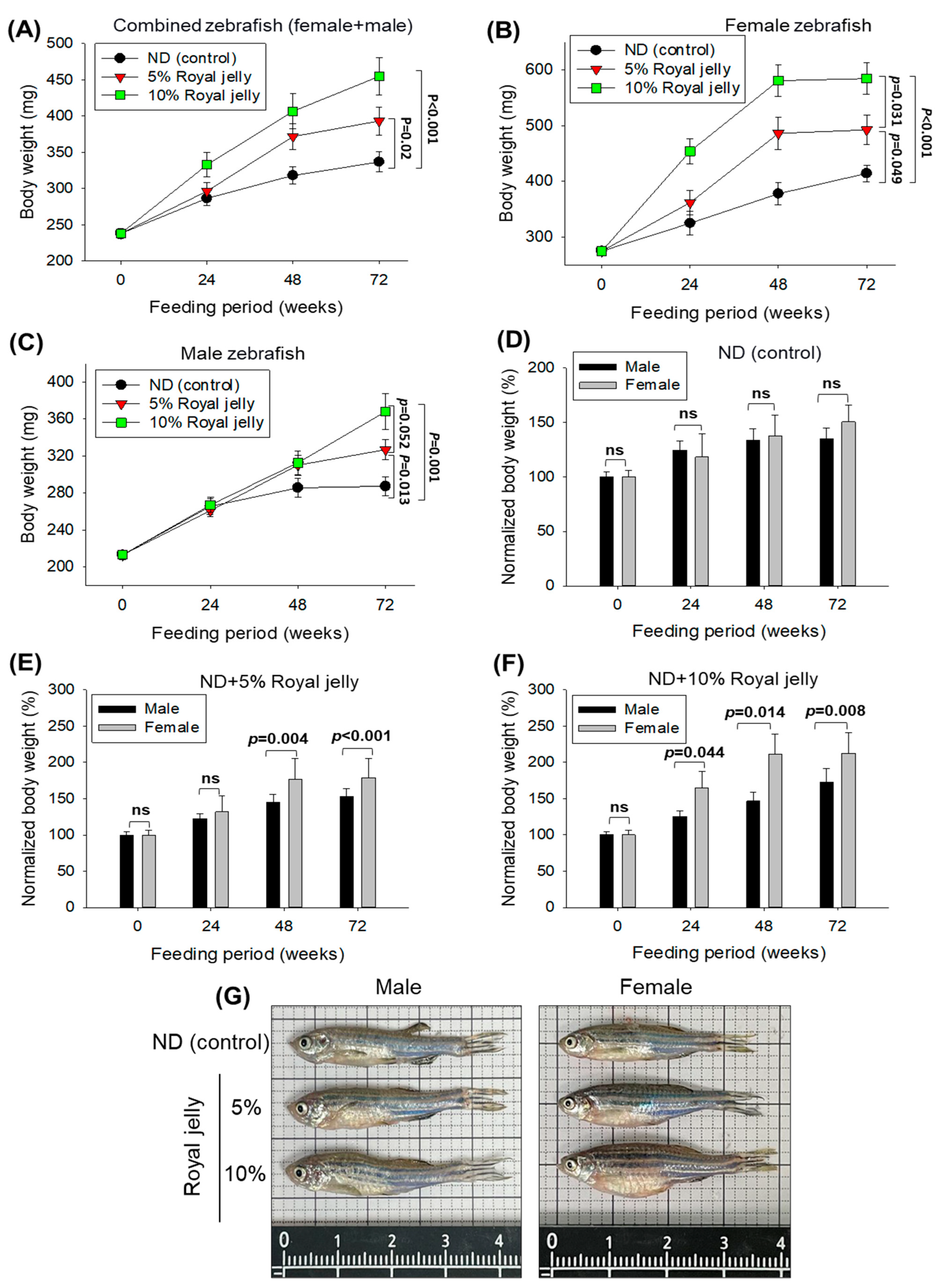 Pharmaceuticals 17 00324 g004