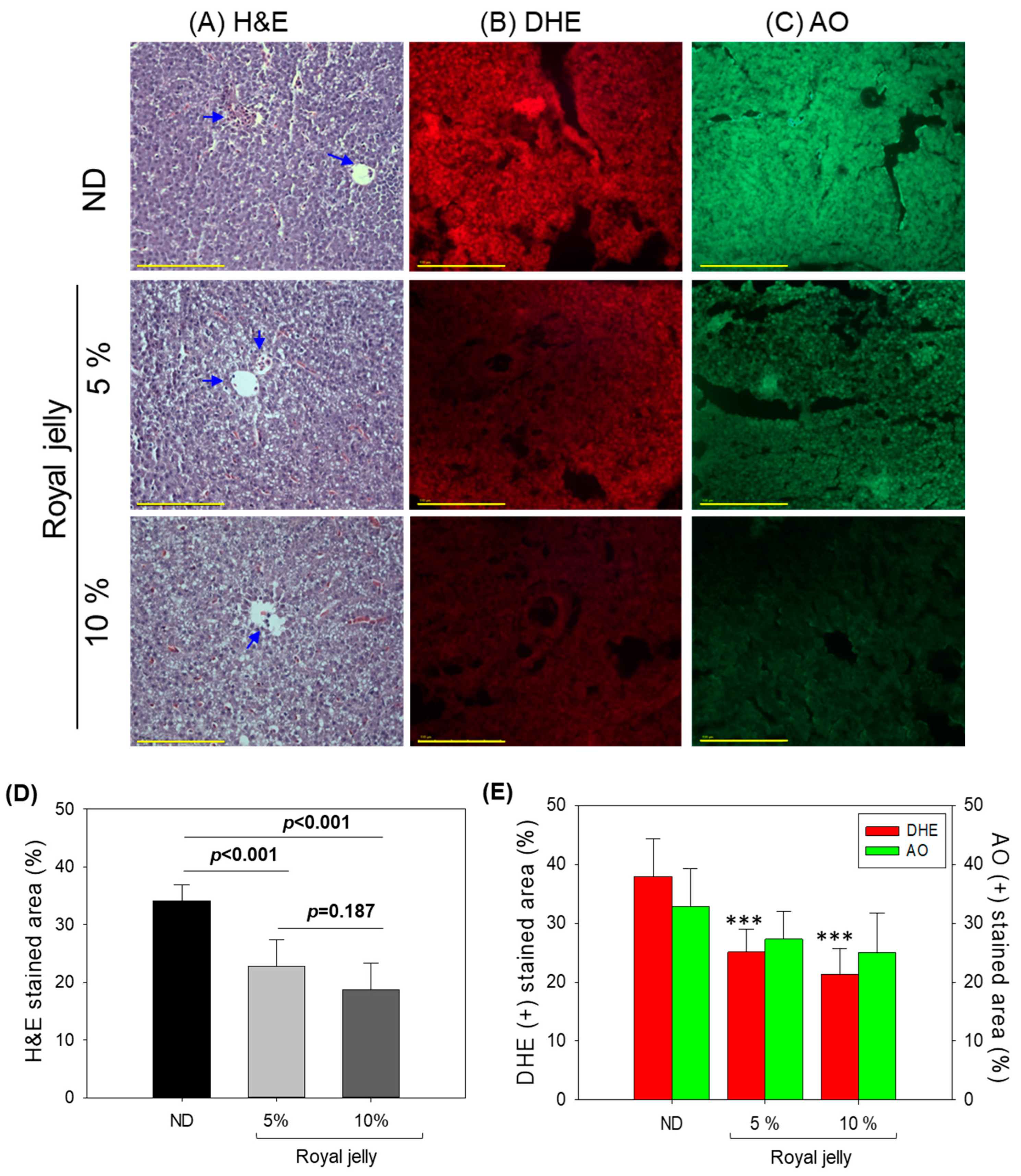 Pharmaceuticals 17 00324 g005