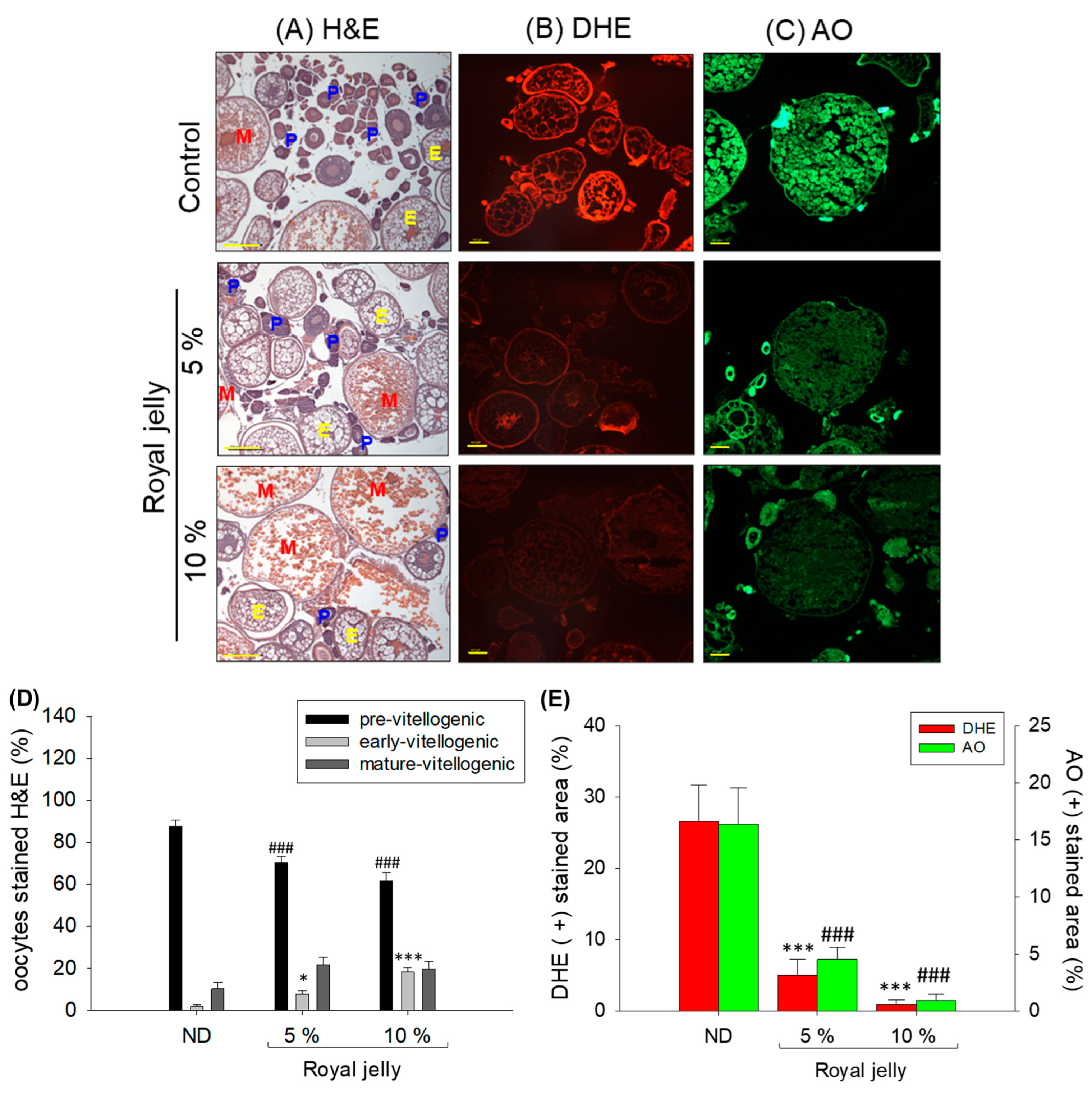 Pharmaceuticals 17 00324 g007