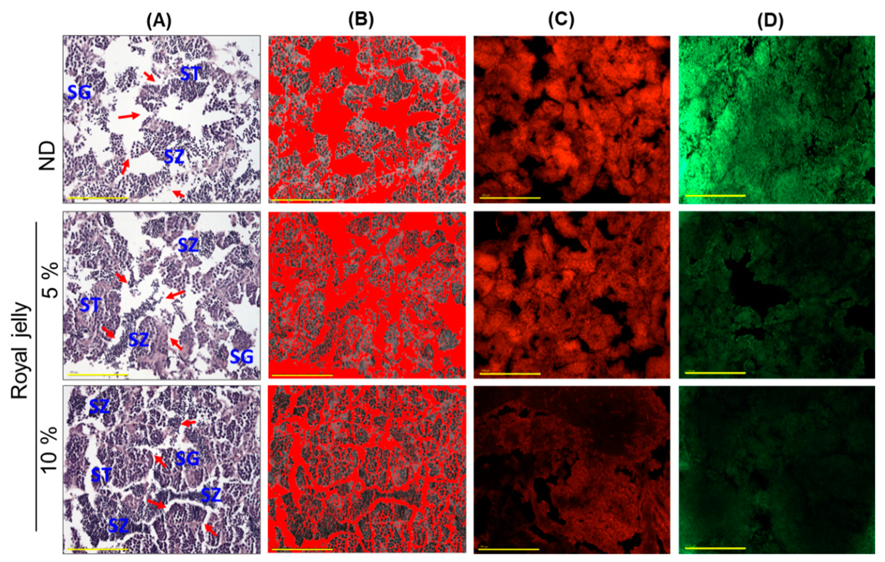 Pharmaceuticals 17 00324 g008a