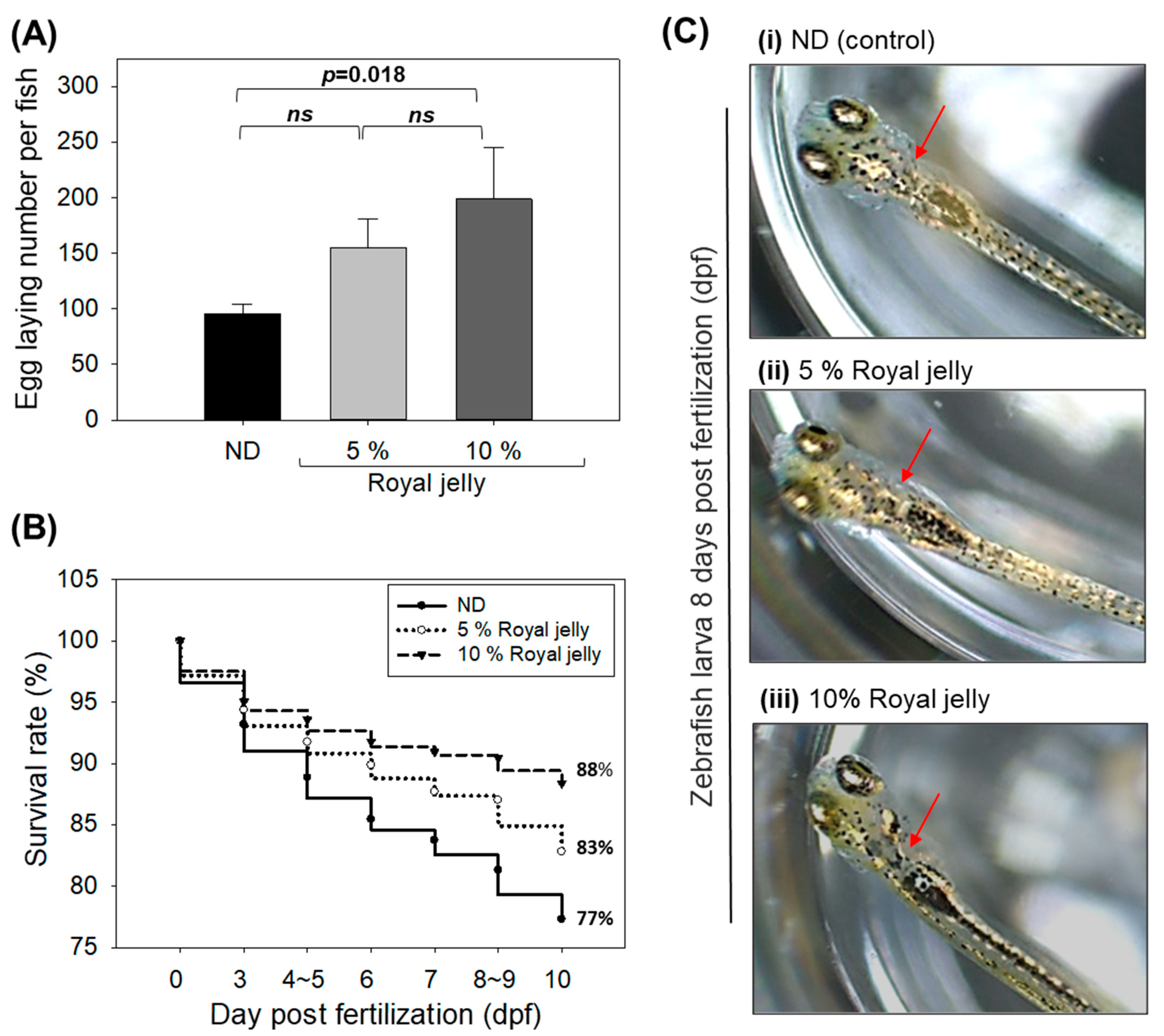Pharmaceuticals 17 00324 g009