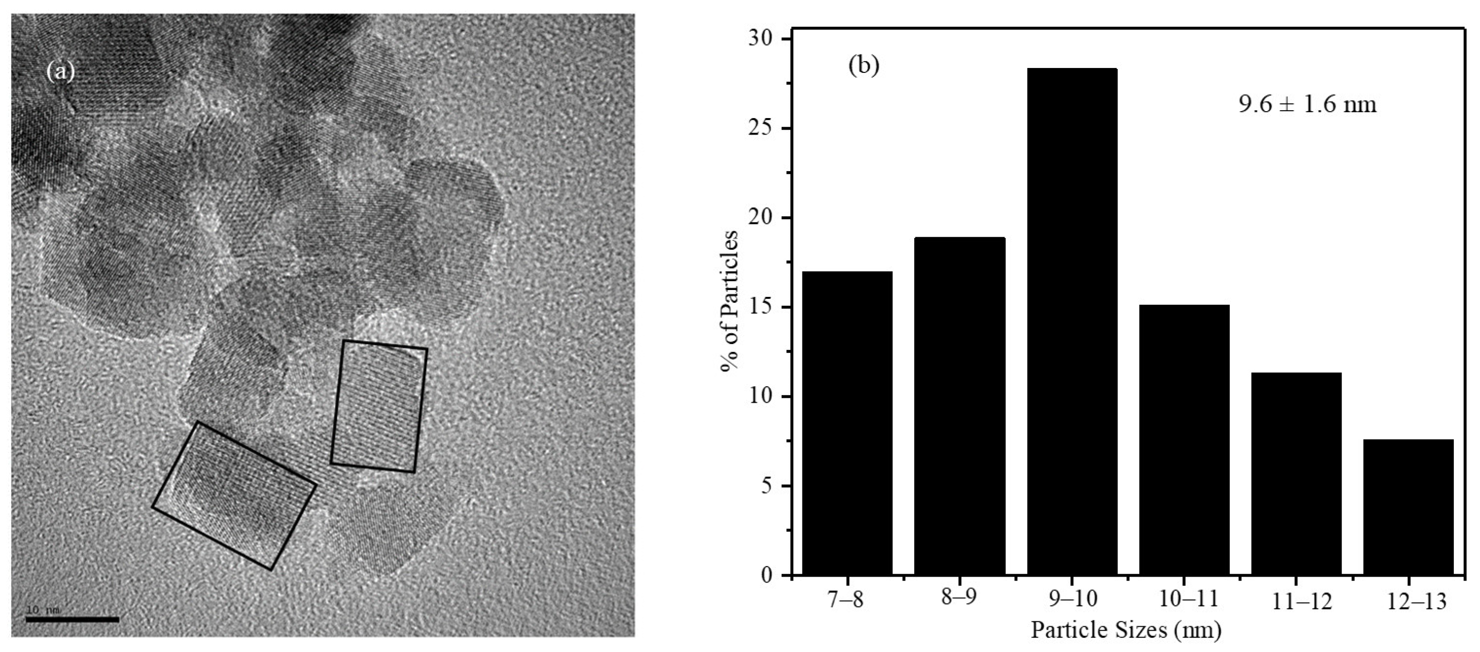 Pharmaceuticals 17 00327 g002