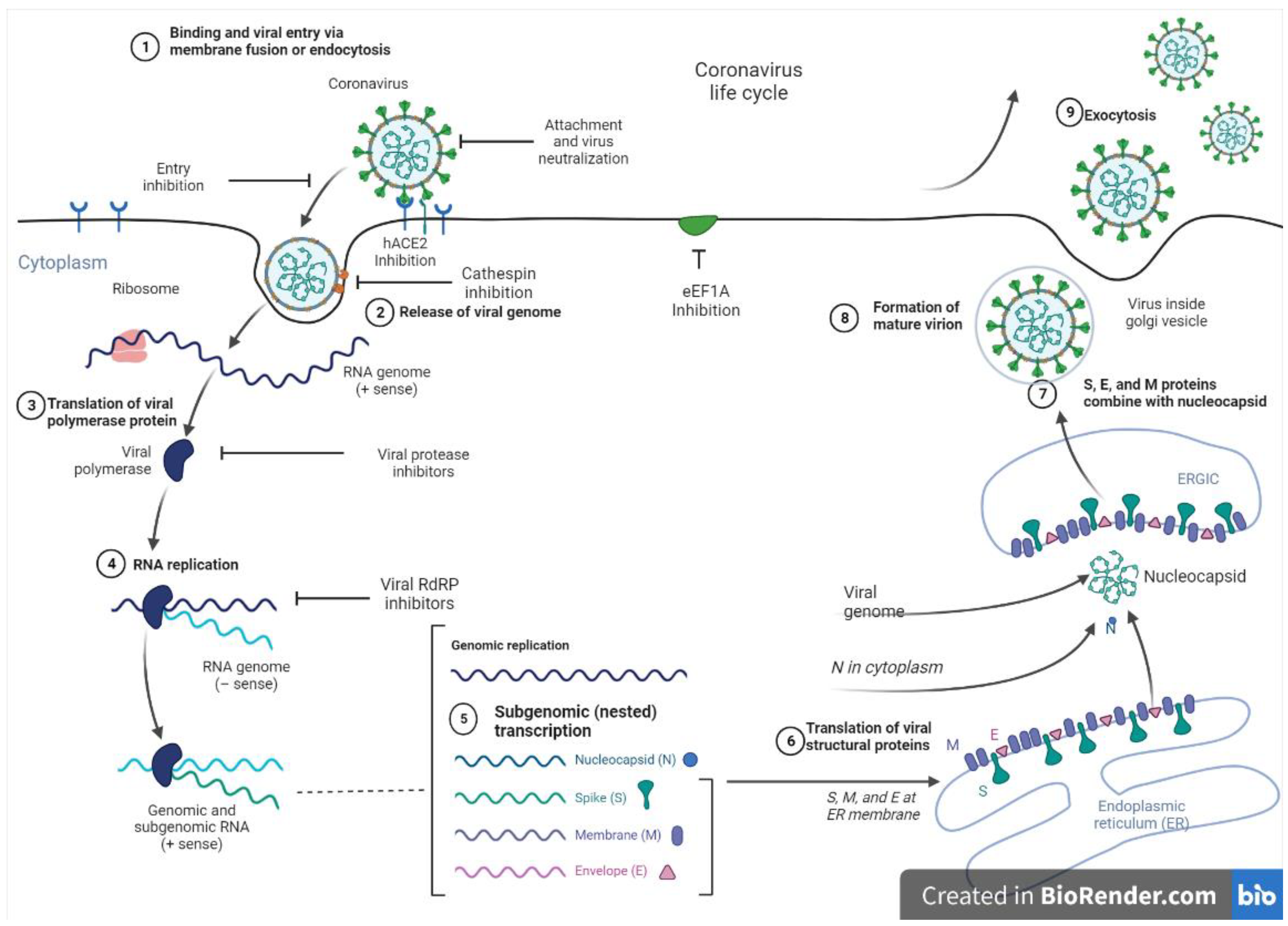 Pharmaceuticals 17 00328 g003 Pharmaceuticals 17 00328 g003